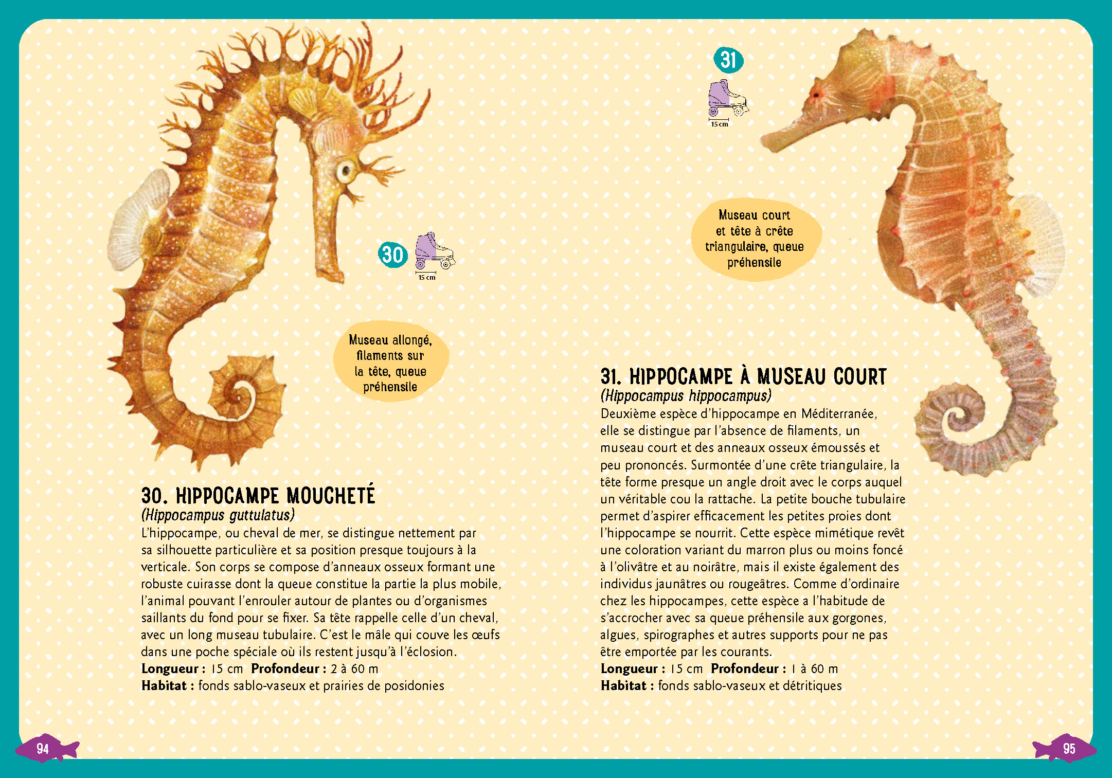 GUIDE DES POISSONS DE LA MEDITERRANEE