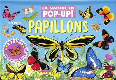 PAPILLONS