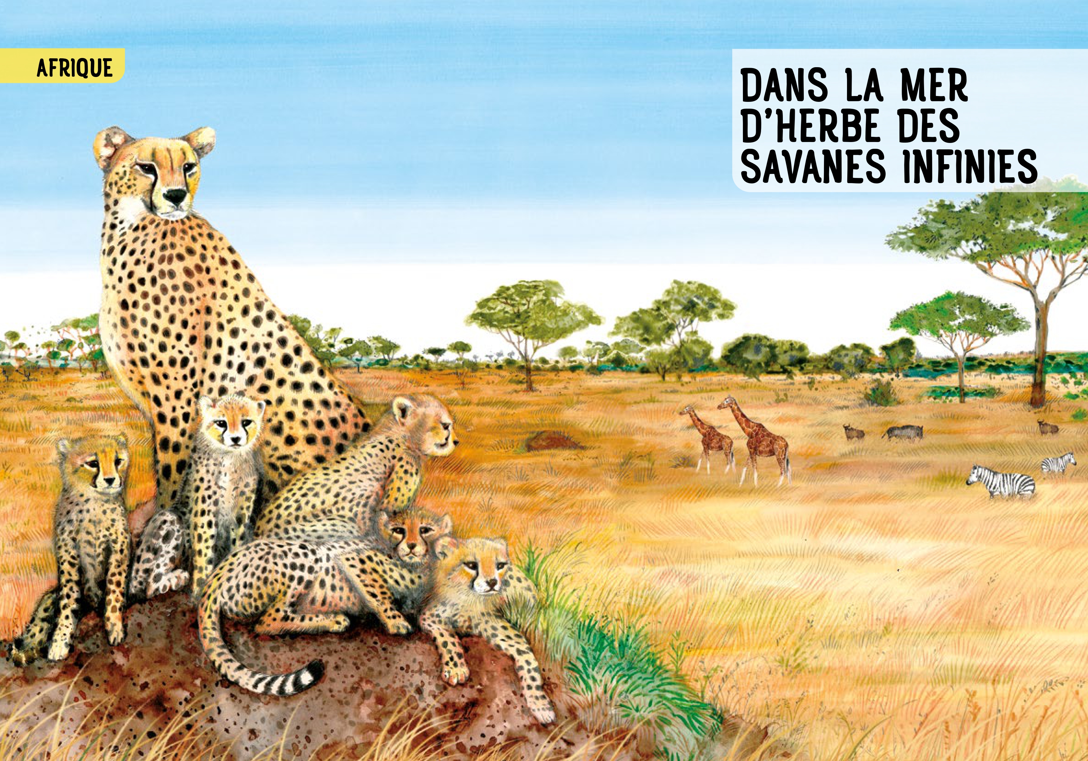 GUIDE DES MAMMIFERES DU MONDE