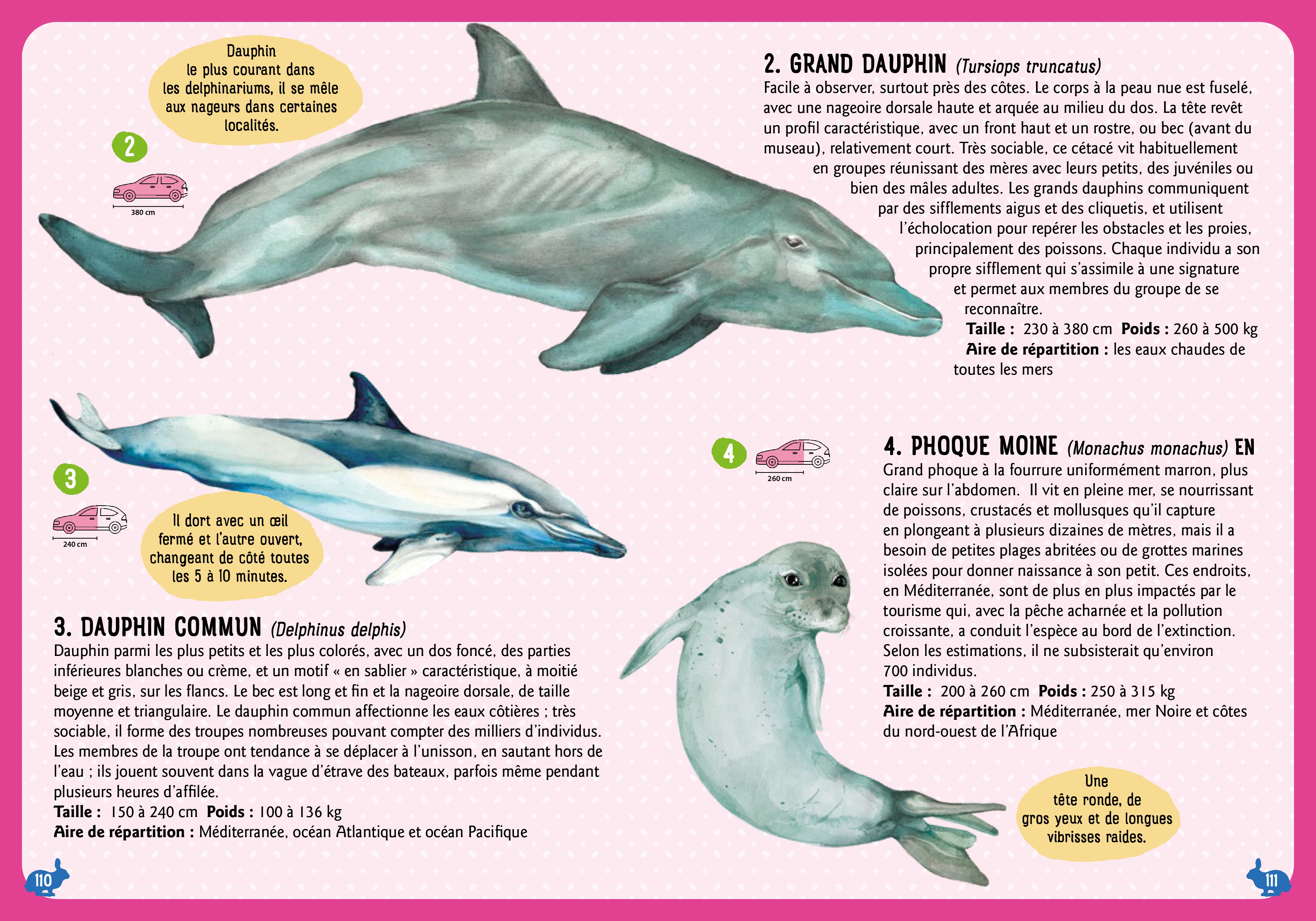 GUIDE DES MAMMIFERES DU MONDE