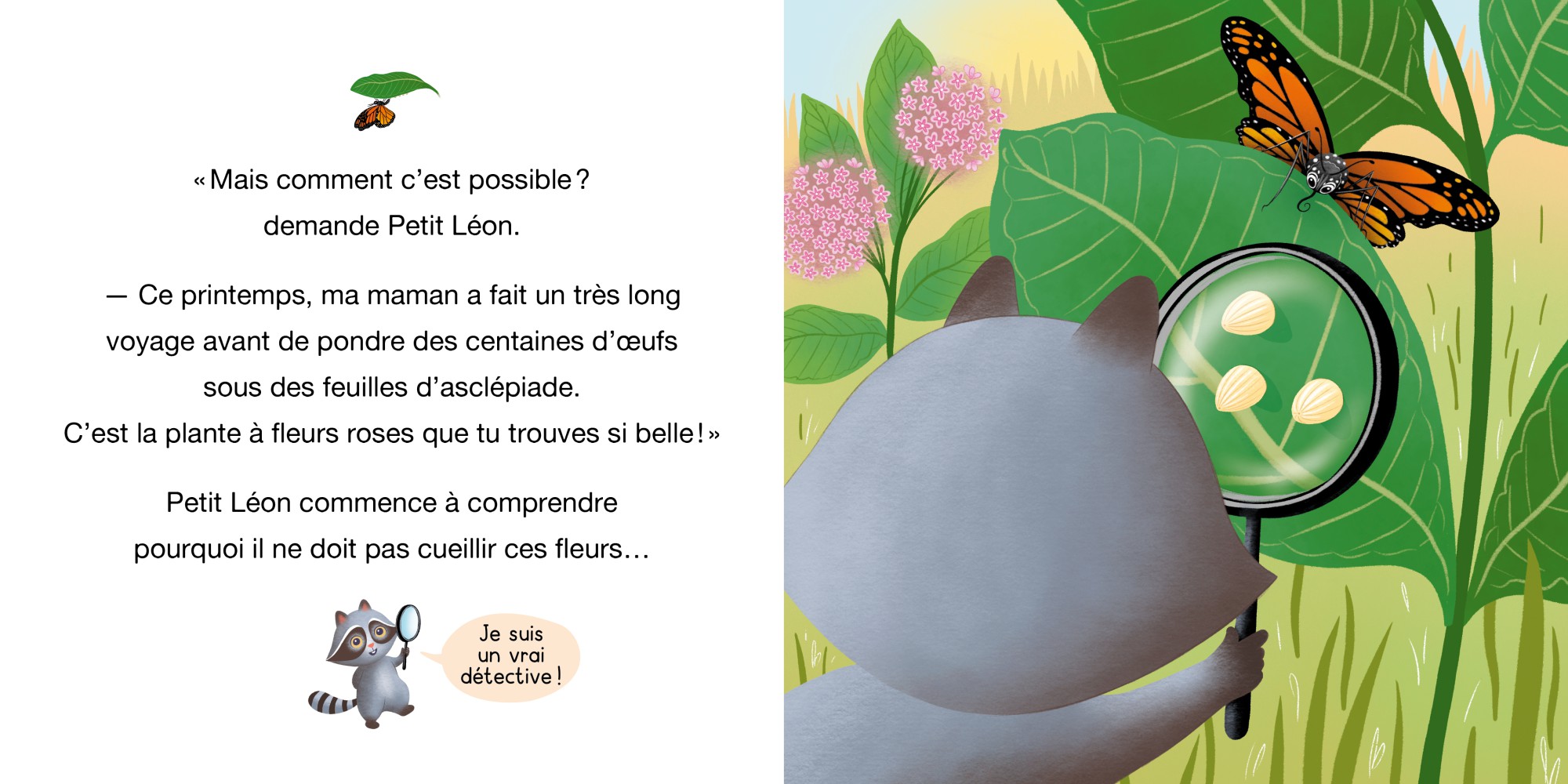 Petit Léon Et Le Papillon Monarque Petit Léon Et Le Papillon Monarque