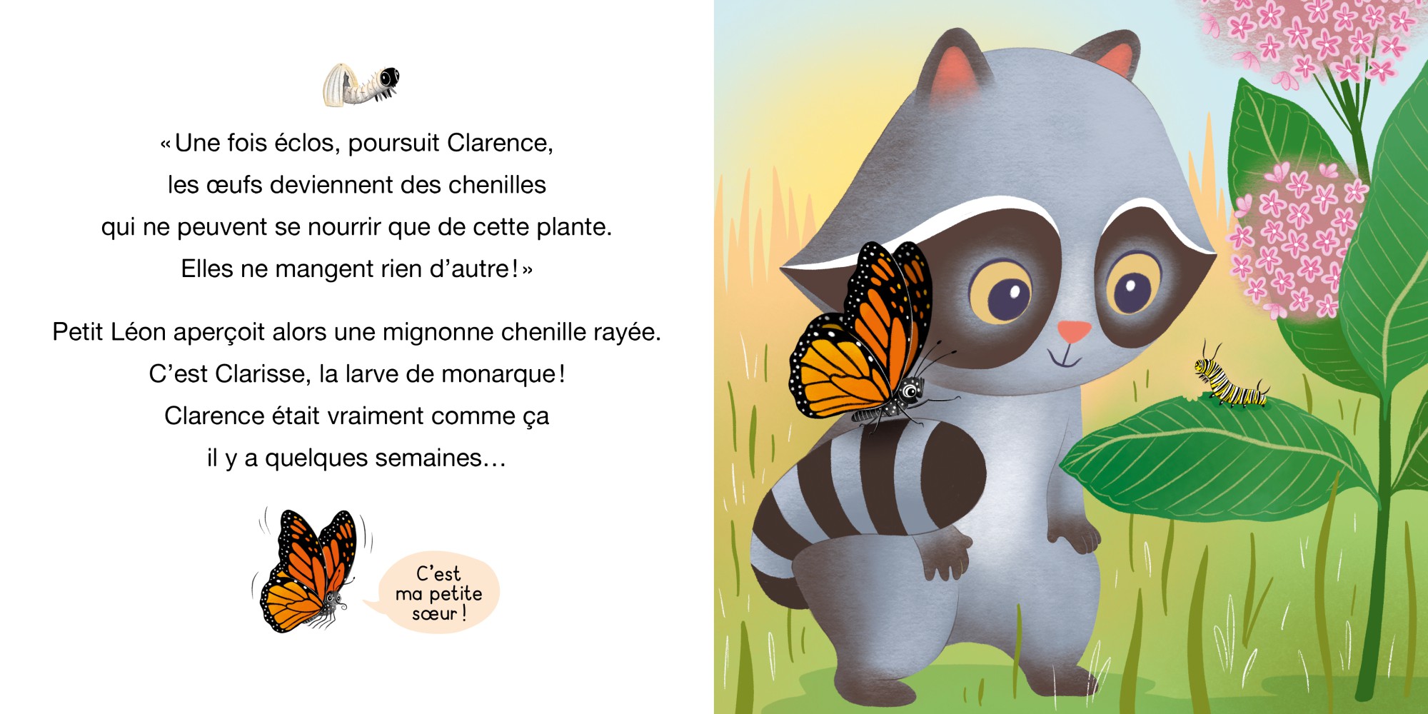 Petit Léon Et Le Papillon Monarque Petit Léon Et Le Papillon Monarque