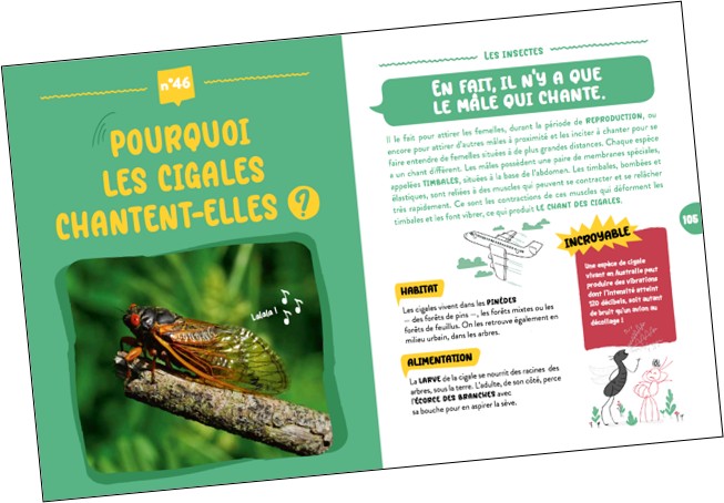 100 Questions L'fun !