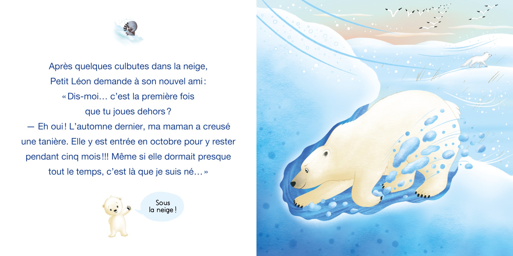 Petit Léon Et L'ourson Polaire