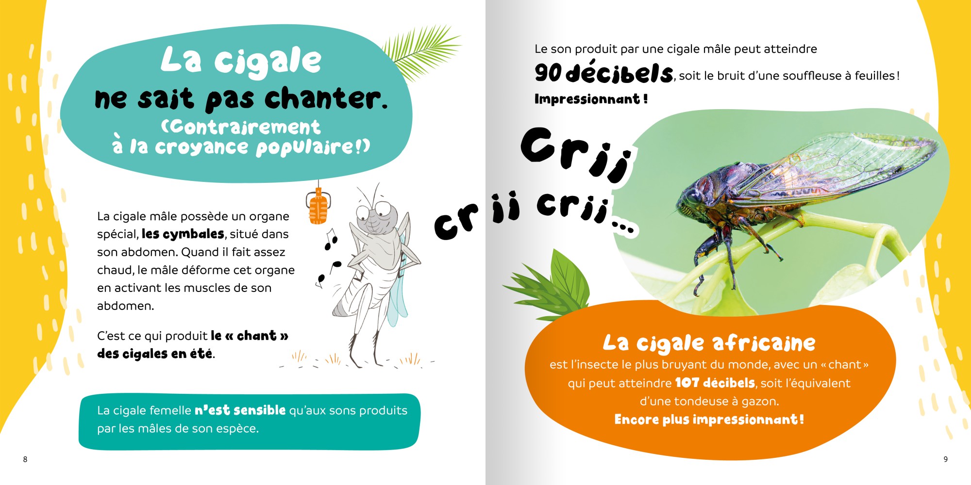 Pour Vrai ? 15 Faits Rigolos Sur Les Insectes