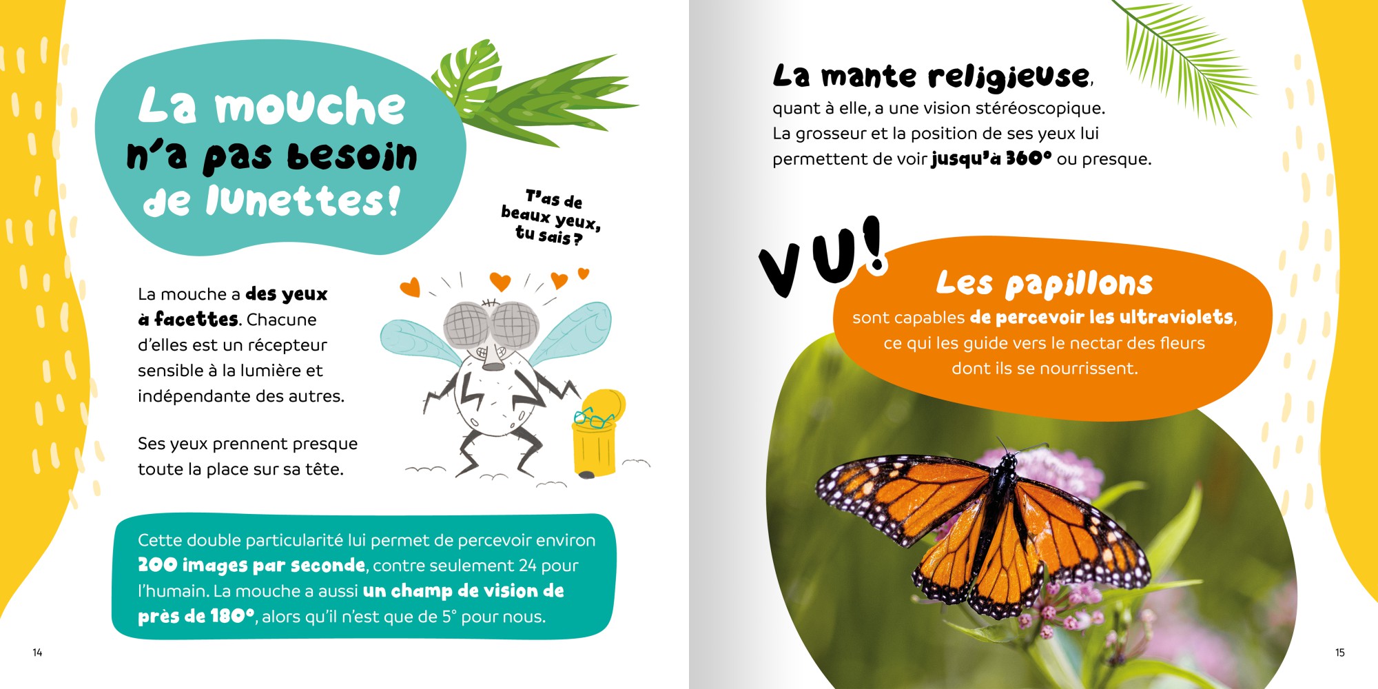 15 Faits Rigolos Sur Les Insectes