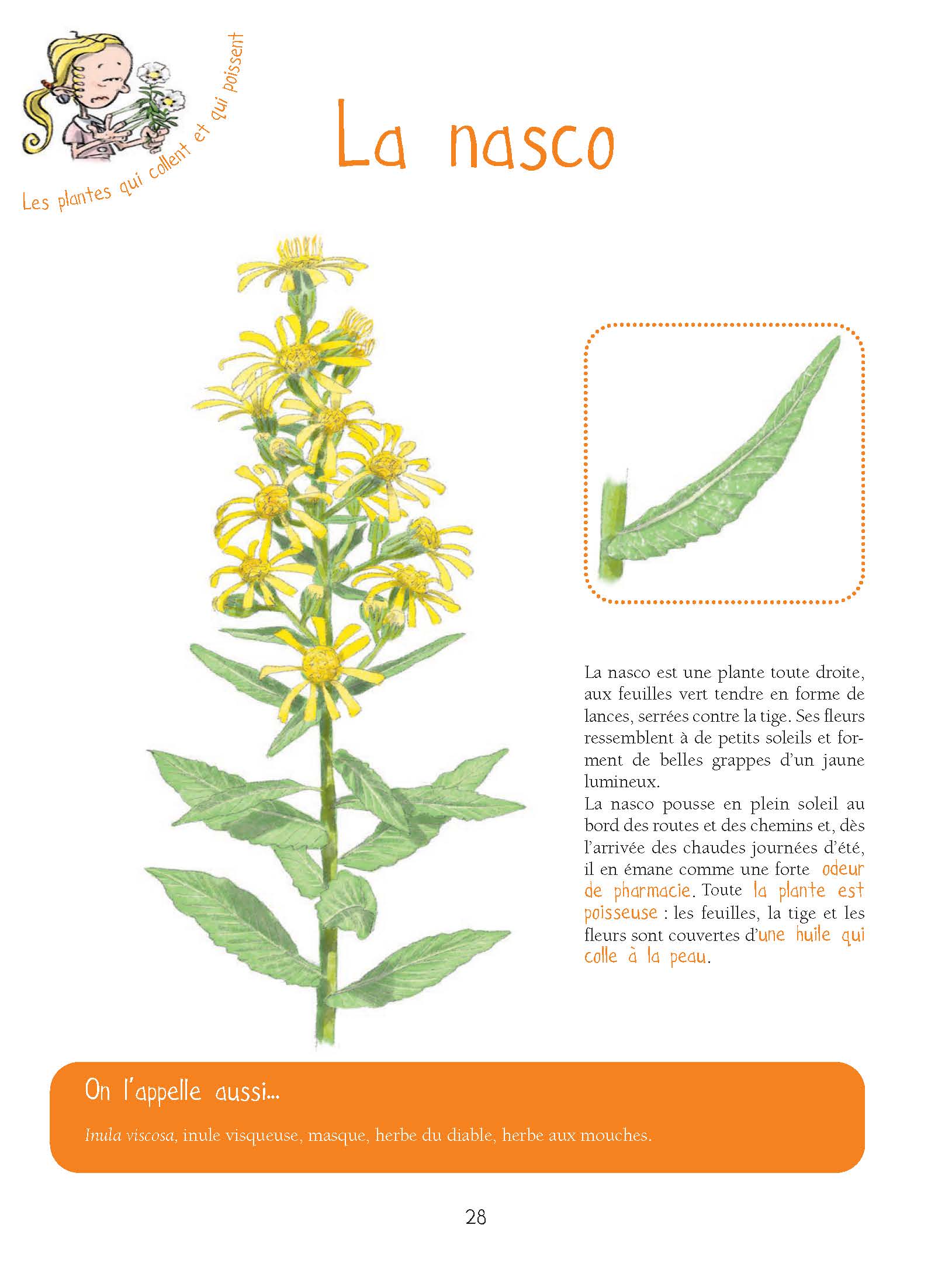 LES PLANTES QUI PUENT, QUI PETENT, QUI PIQUENT