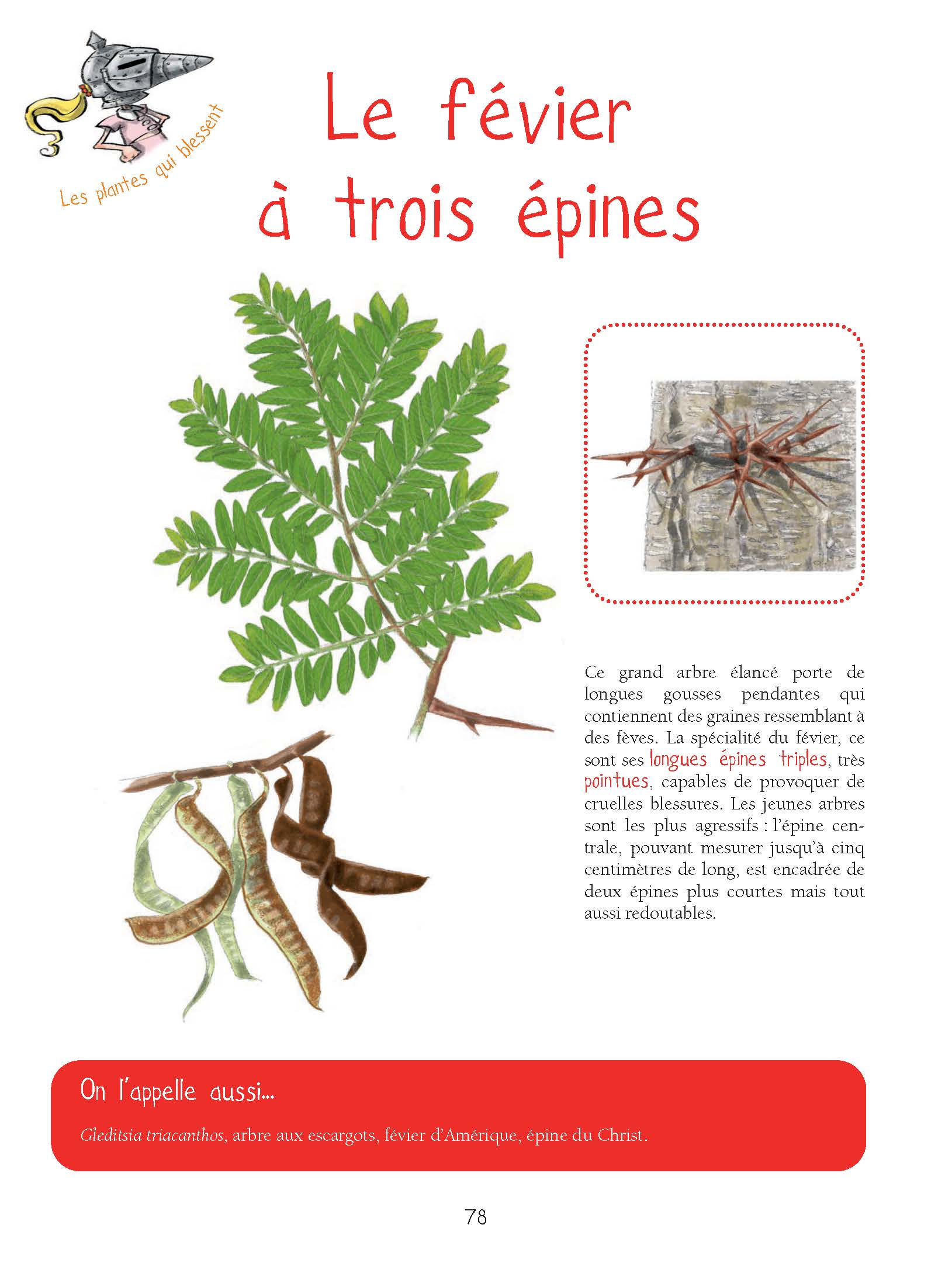 LES PLANTES QUI PUENT, QUI PETENT, QUI PIQUENT