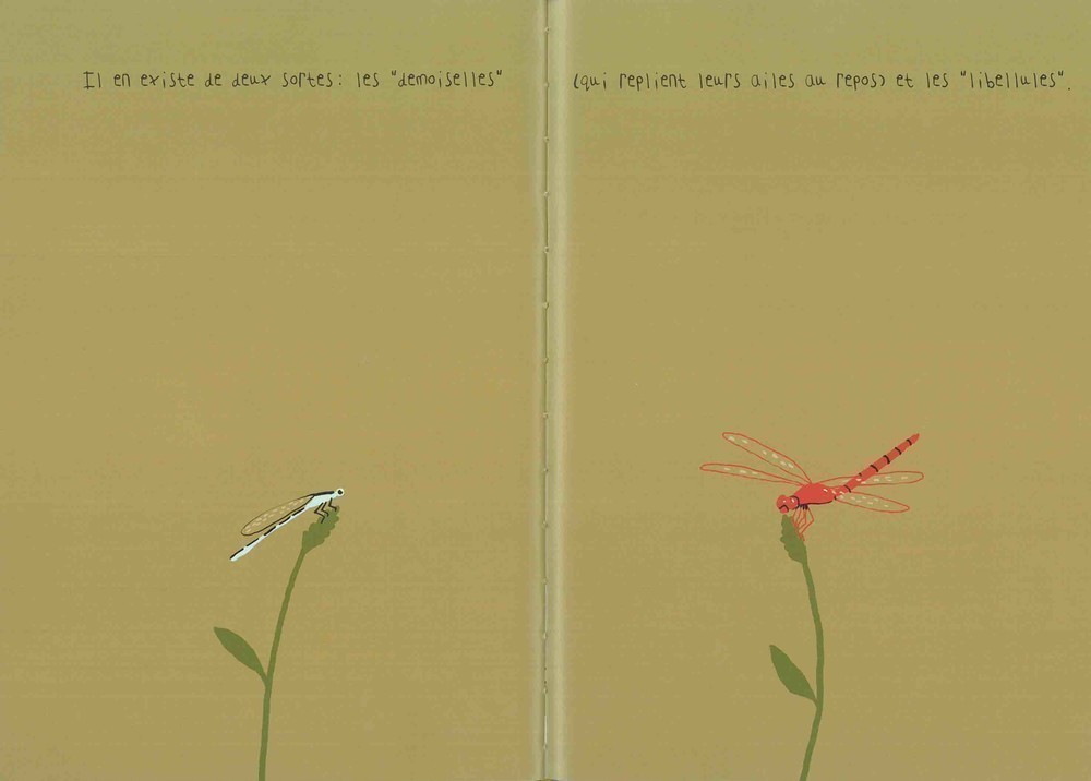 LA LIBELLULE