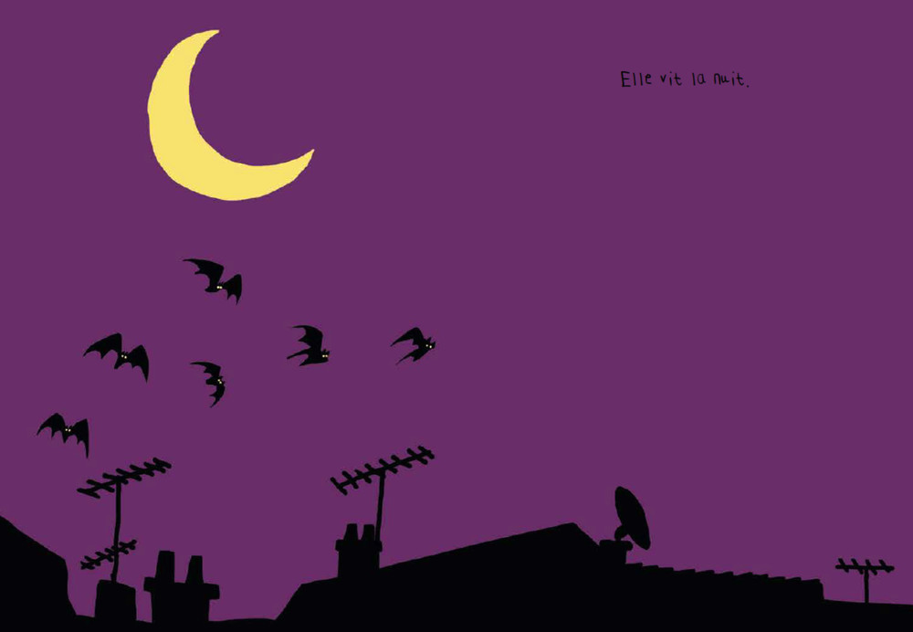 LA CHAUVE-SOURIS