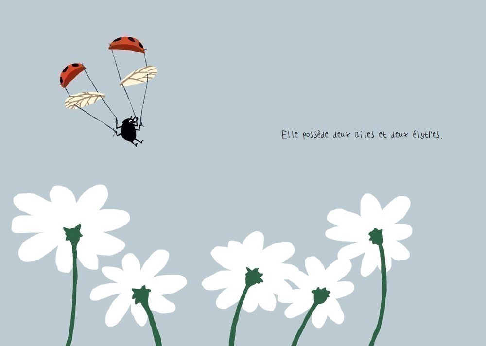 LA COCCINELLE