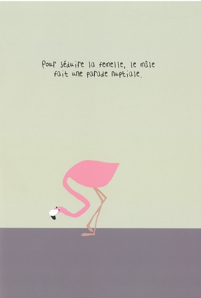 LE FLAMANT ROSE