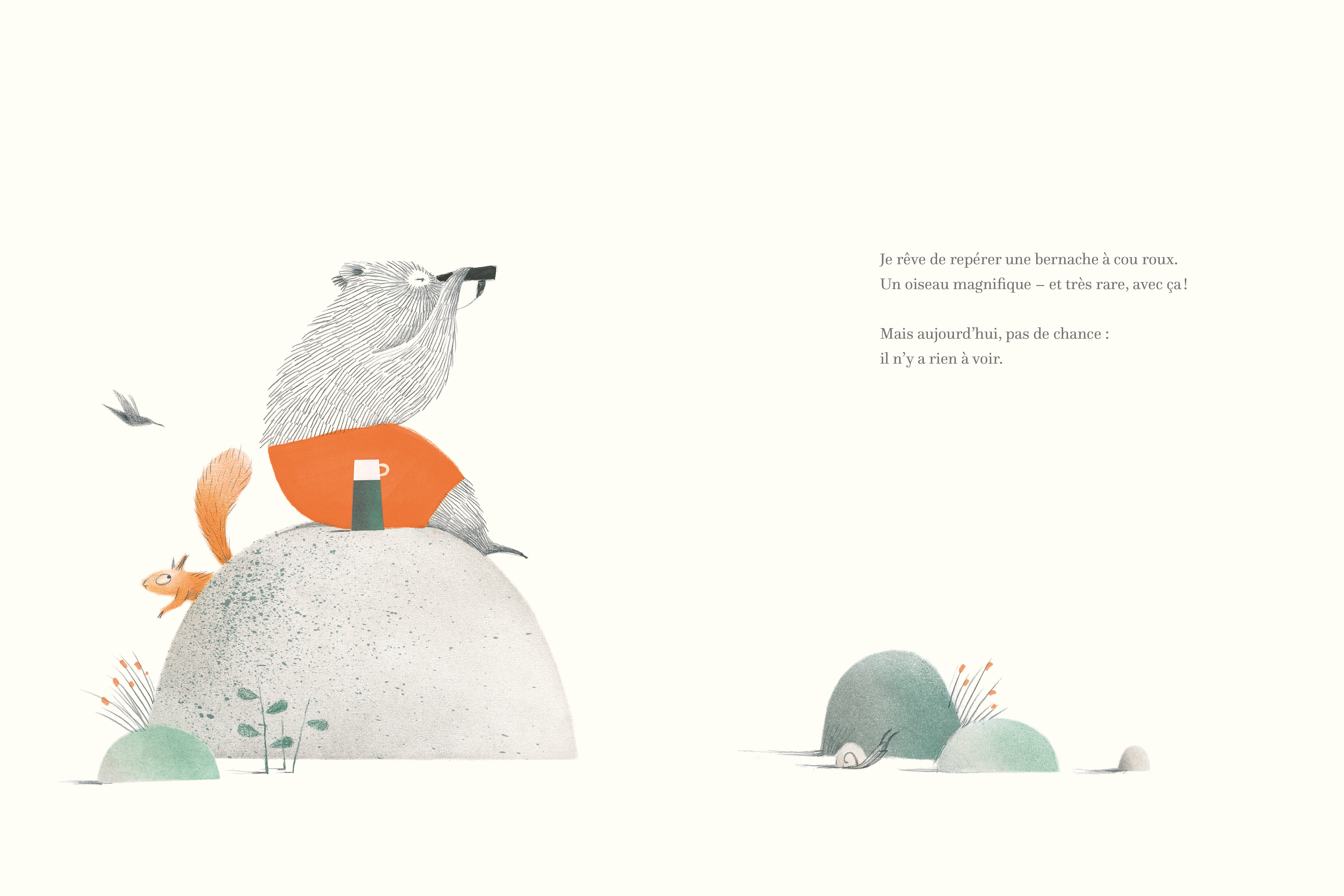 MON TALENT FOU POUR OBSERVER LES ANIMAUX