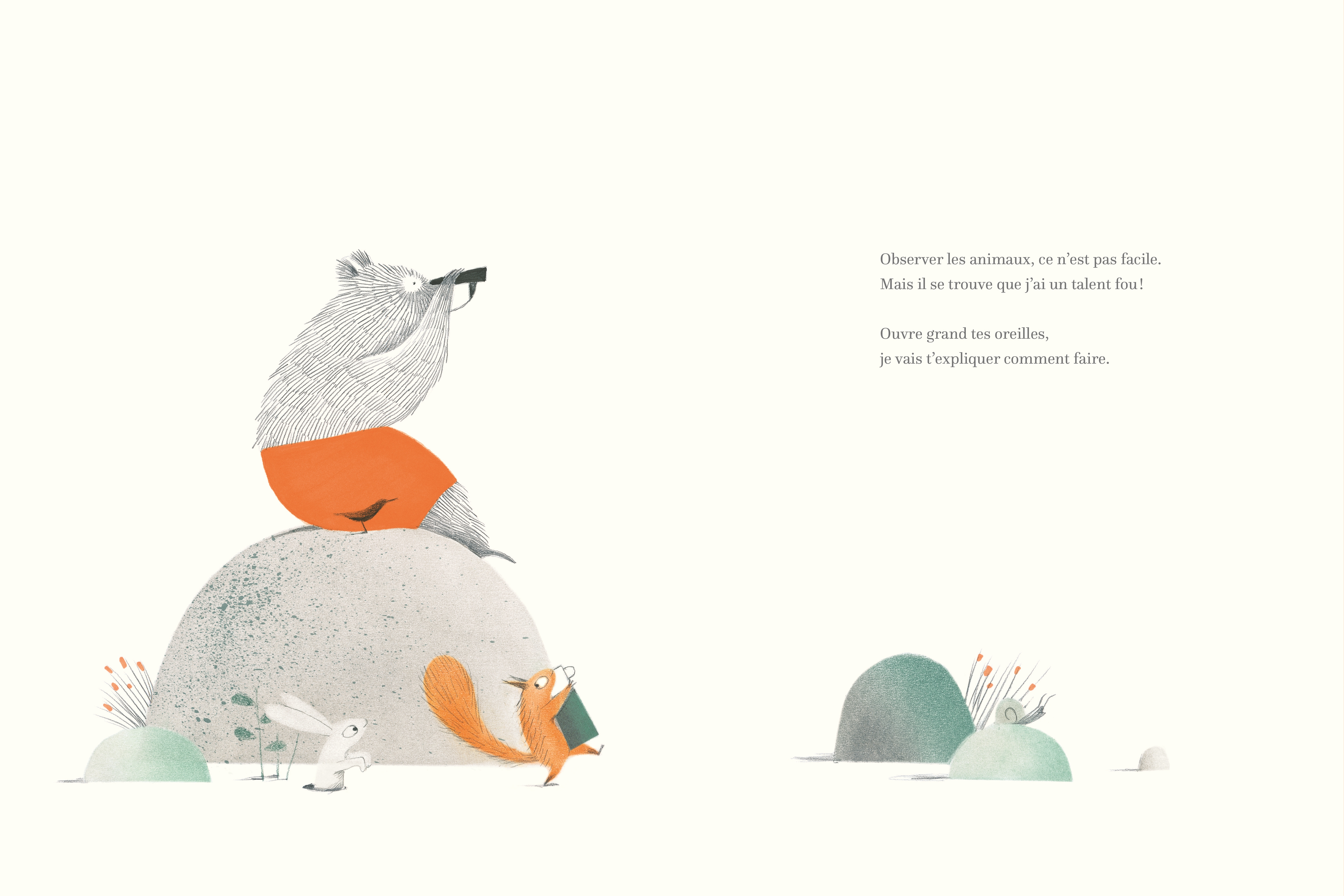 MON TALENT FOU POUR OBSERVER LES ANIMAUX