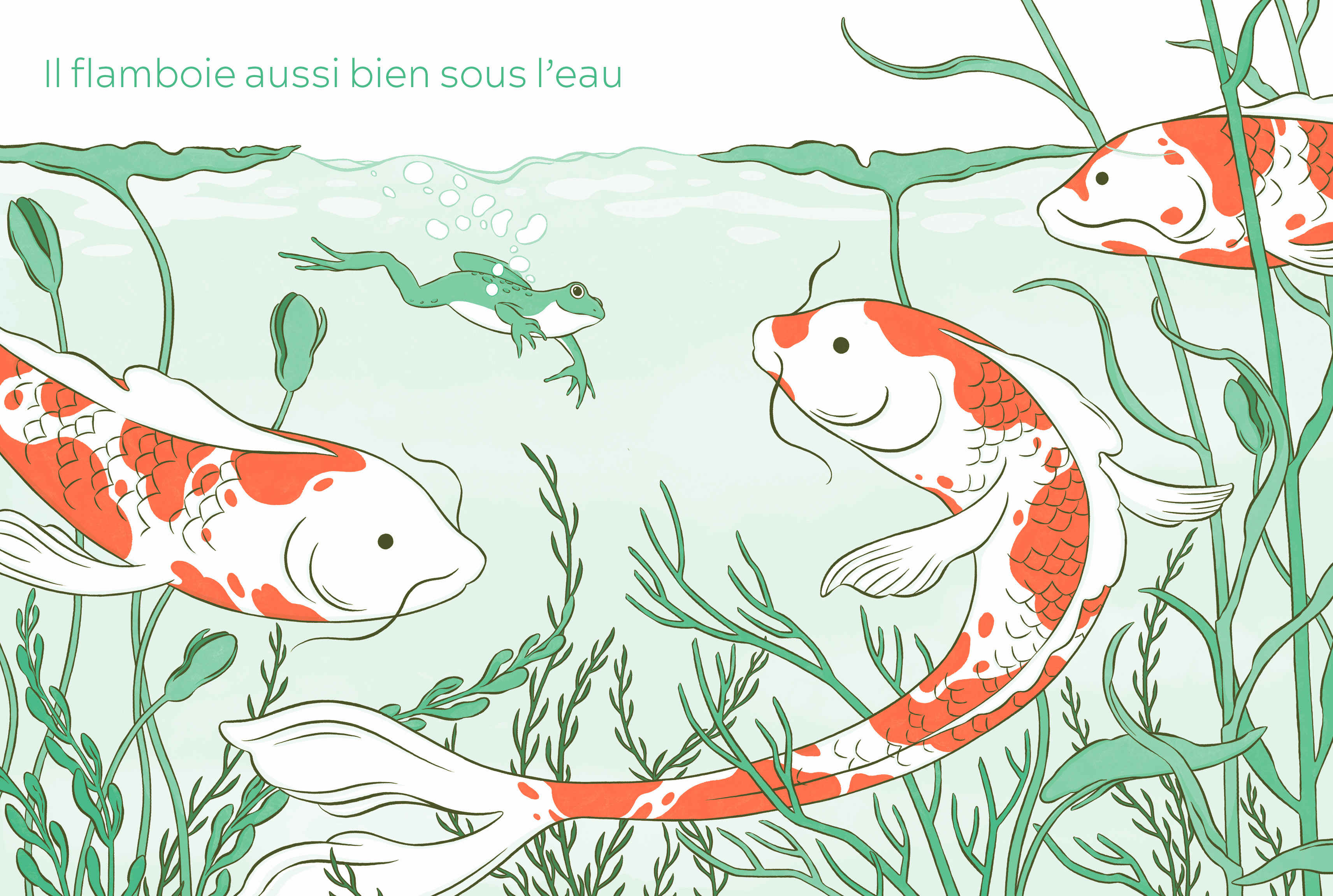 LA GRENOUILLE QUI AIMAIT LE ROUGE