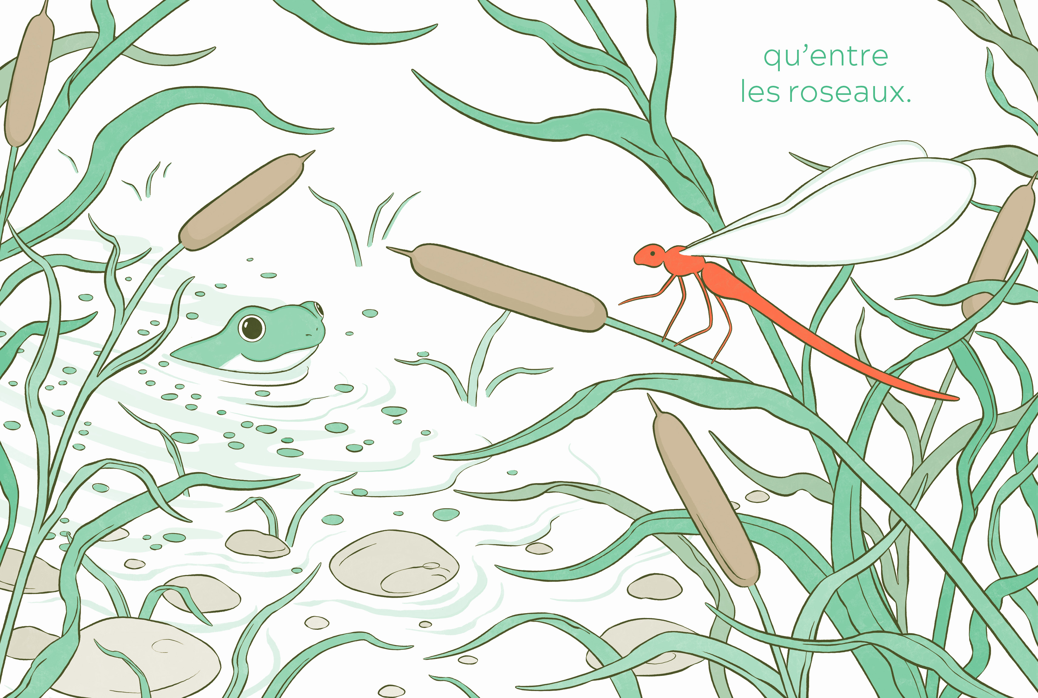 LA GRENOUILLE QUI AIMAIT LE ROUGE