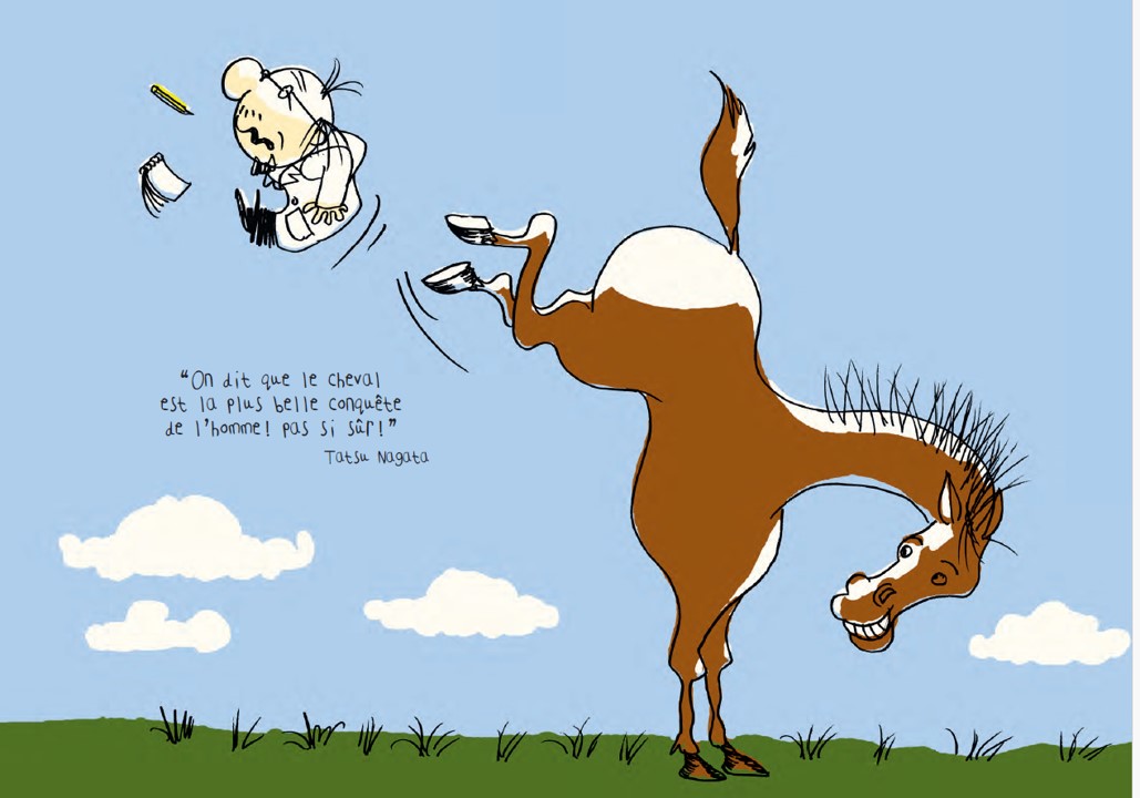 LE CHEVAL LE CHEVAL