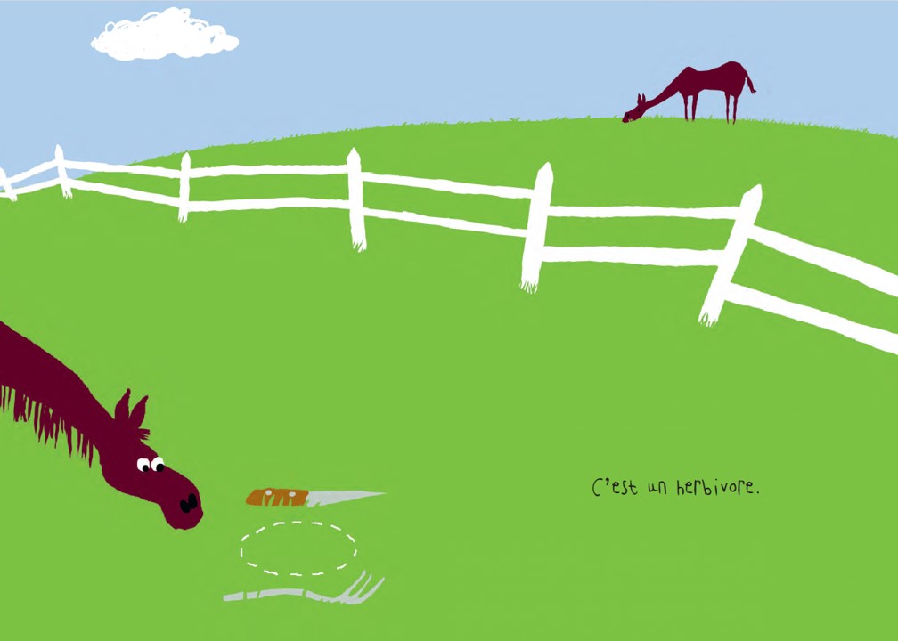 LE CHEVAL LE CHEVAL