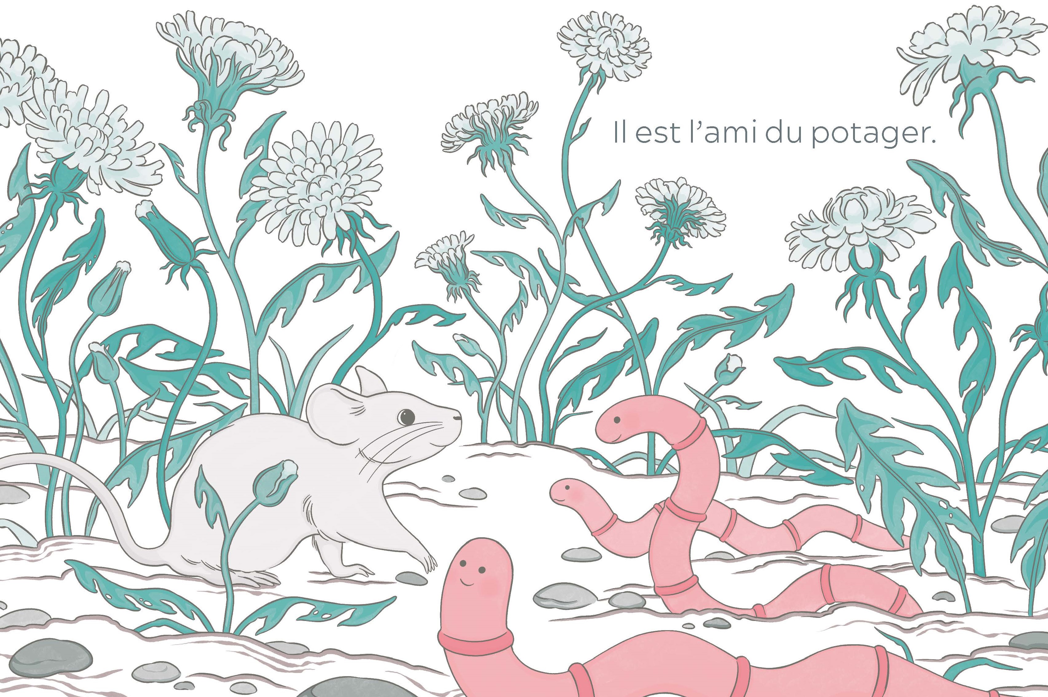 LA SOURIS QUI AIMAIT LE ROSE