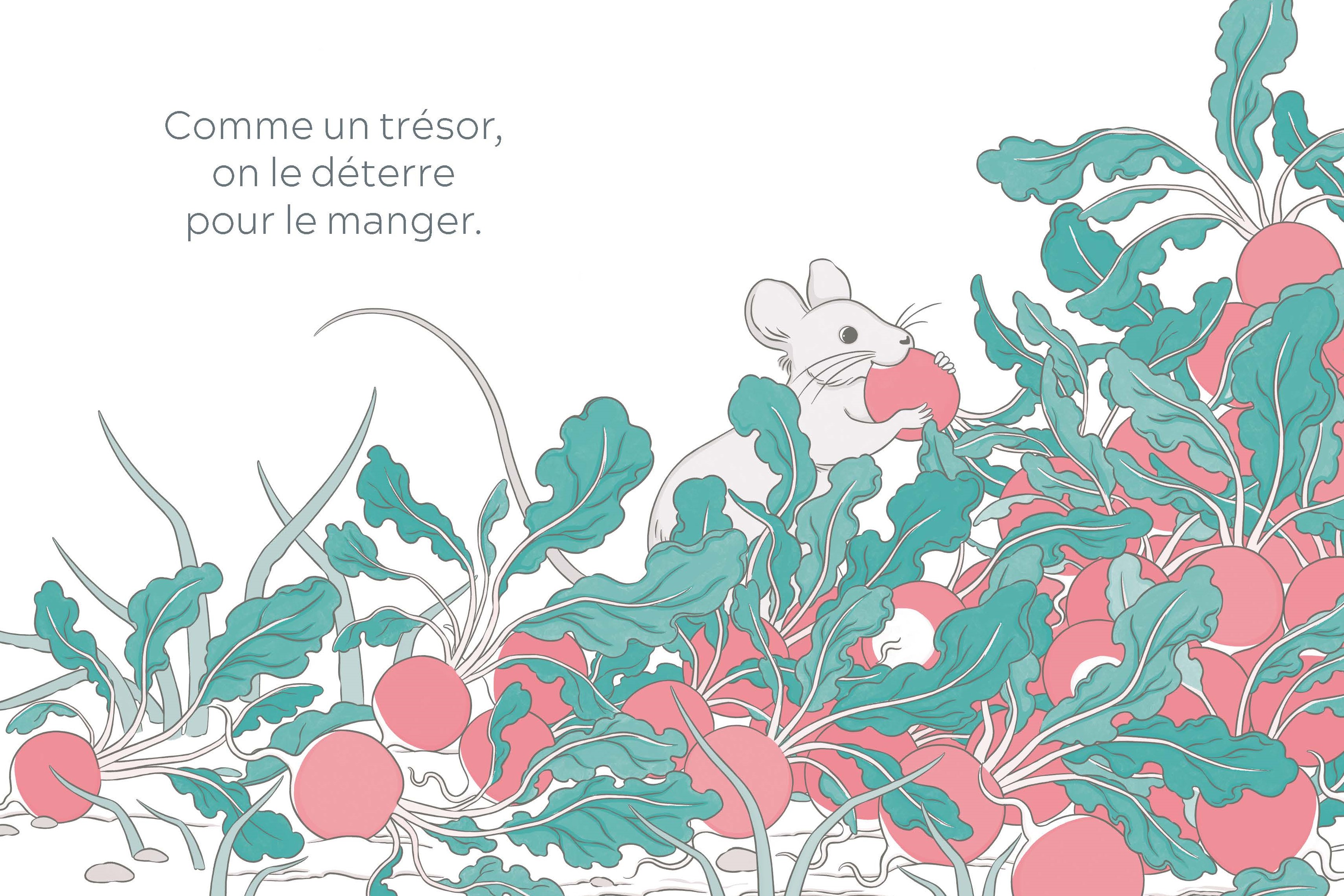 LA SOURIS QUI AIMAIT LE ROSE