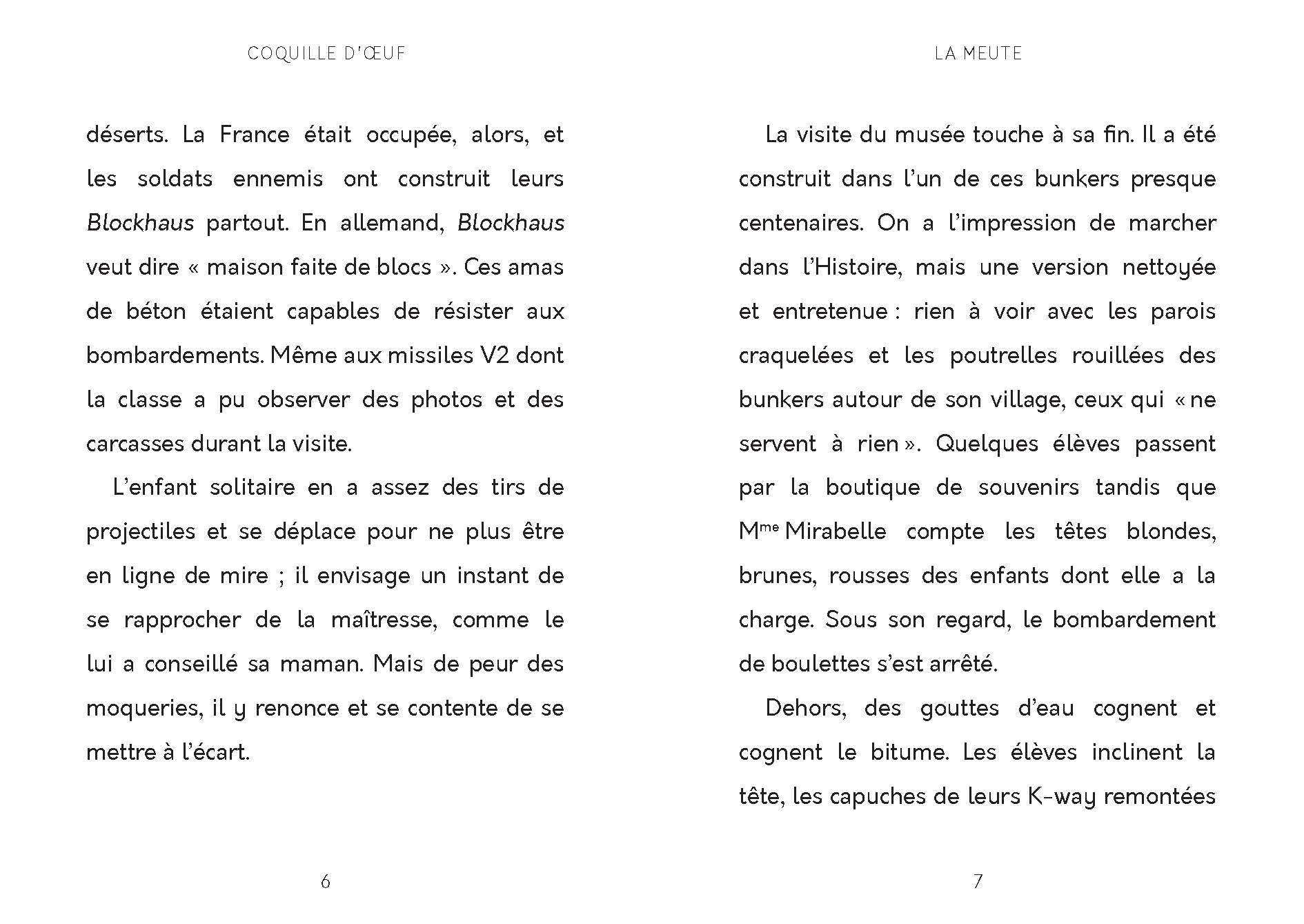 COQUILLE D COQUILLE D