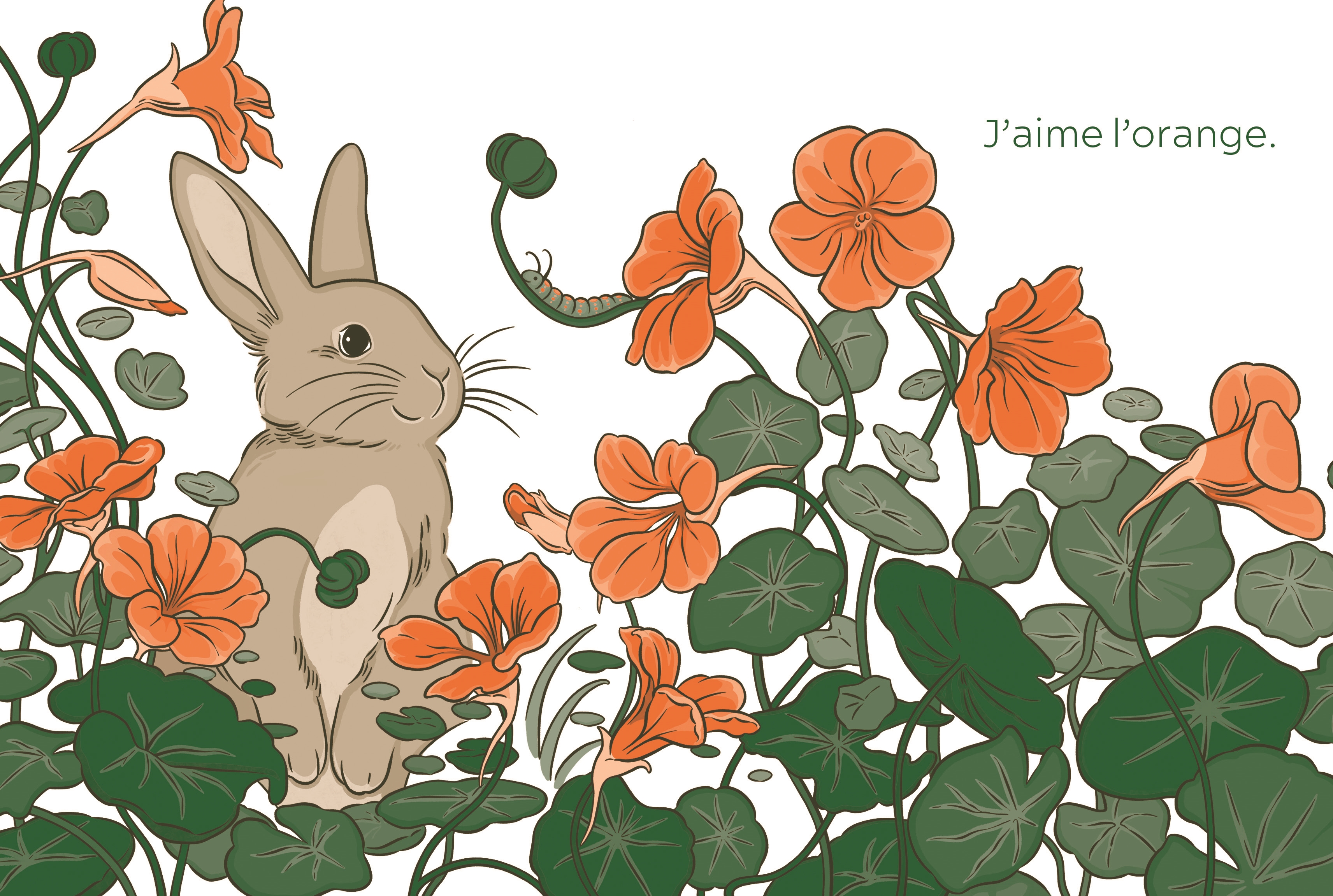 LE LAPIN QUI AIMAIT L