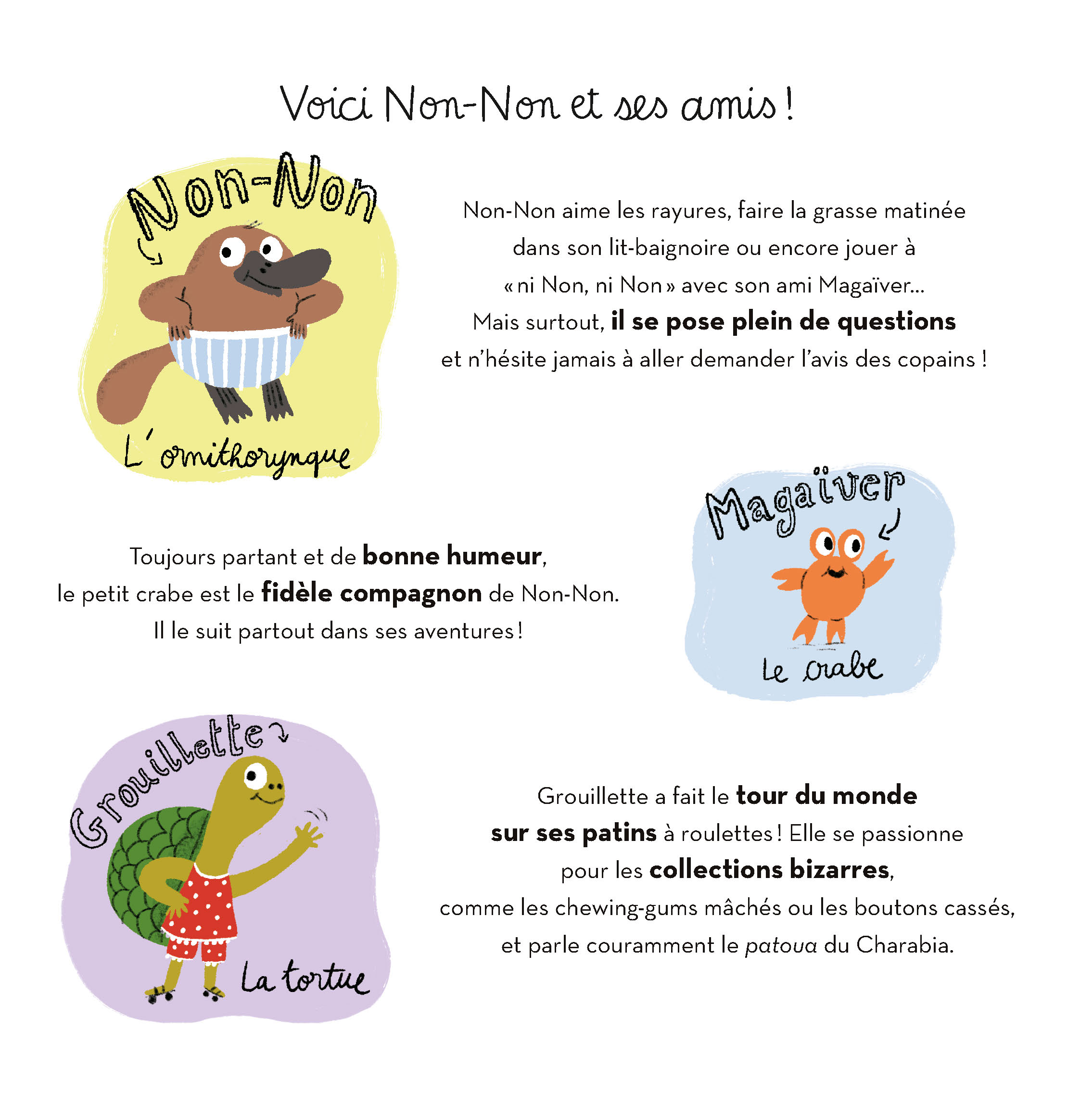 NON-NON TROUVE UN BIDULE
