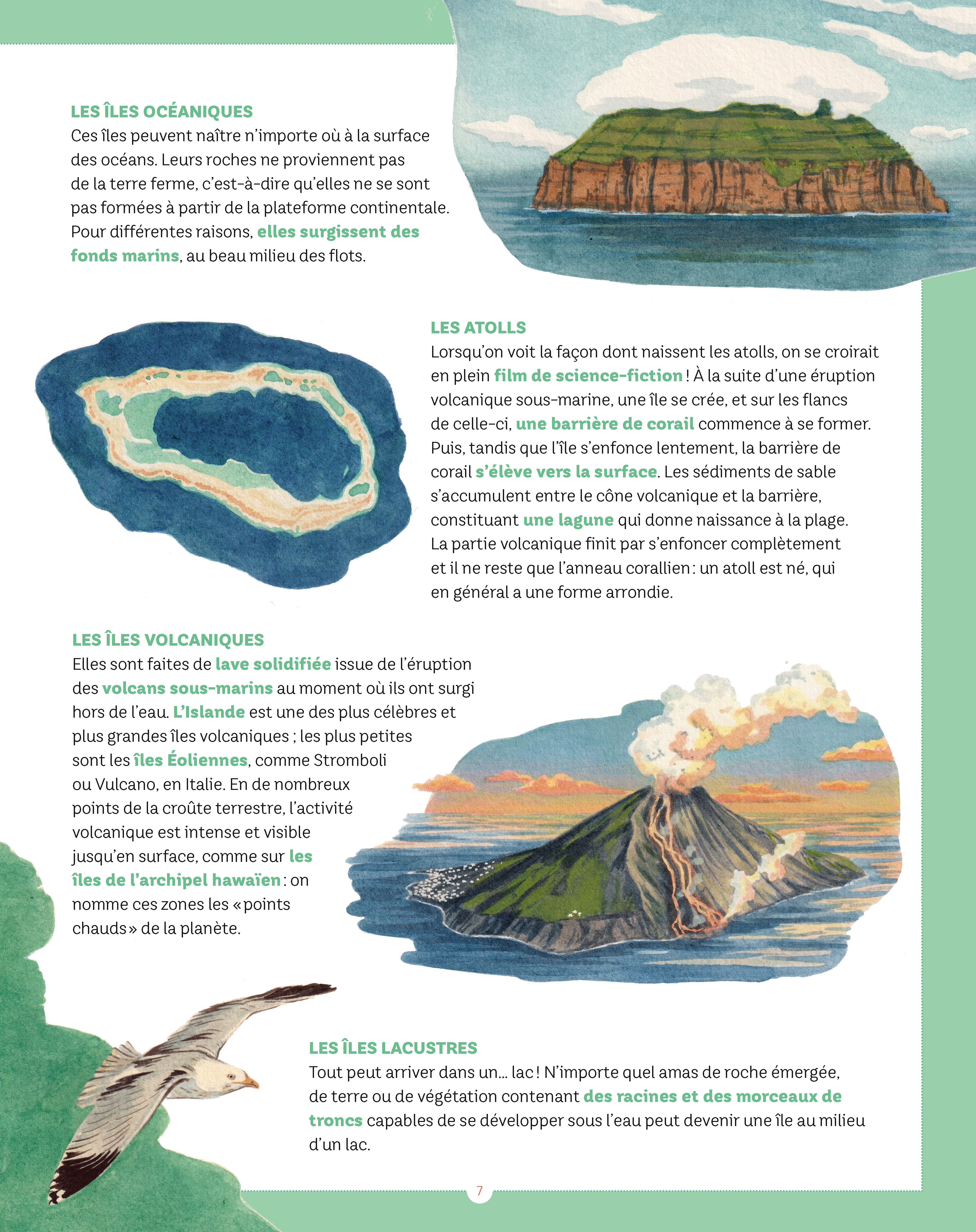 LE MONDE MYSTERIEUX DES ILES : NAUFRAGES, TRESORS CACHES, ZONES MYSTERIEUSES... LE TOUR DU MONDE EN PLUS DE 80 ILES LE MONDE MYSTERIEUX DES ILES : NAUFRAGES, TRESORS CACHES, ZONES MYSTERIEUSES... LE TOUR DU MONDE EN PLUS DE 80 ILES