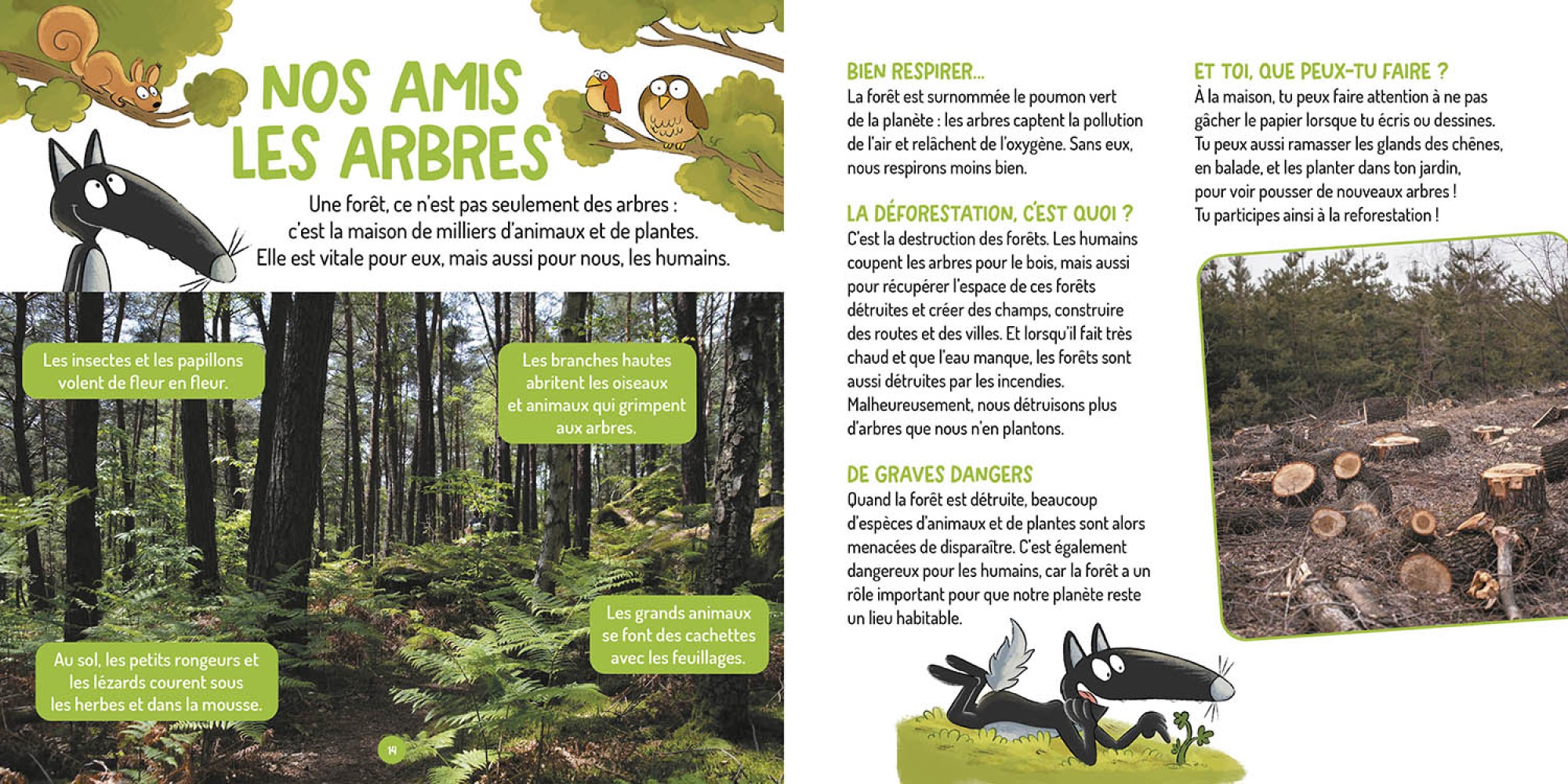 LES QUESTIONS DE LOUP - PROTEGER LA PLANETE