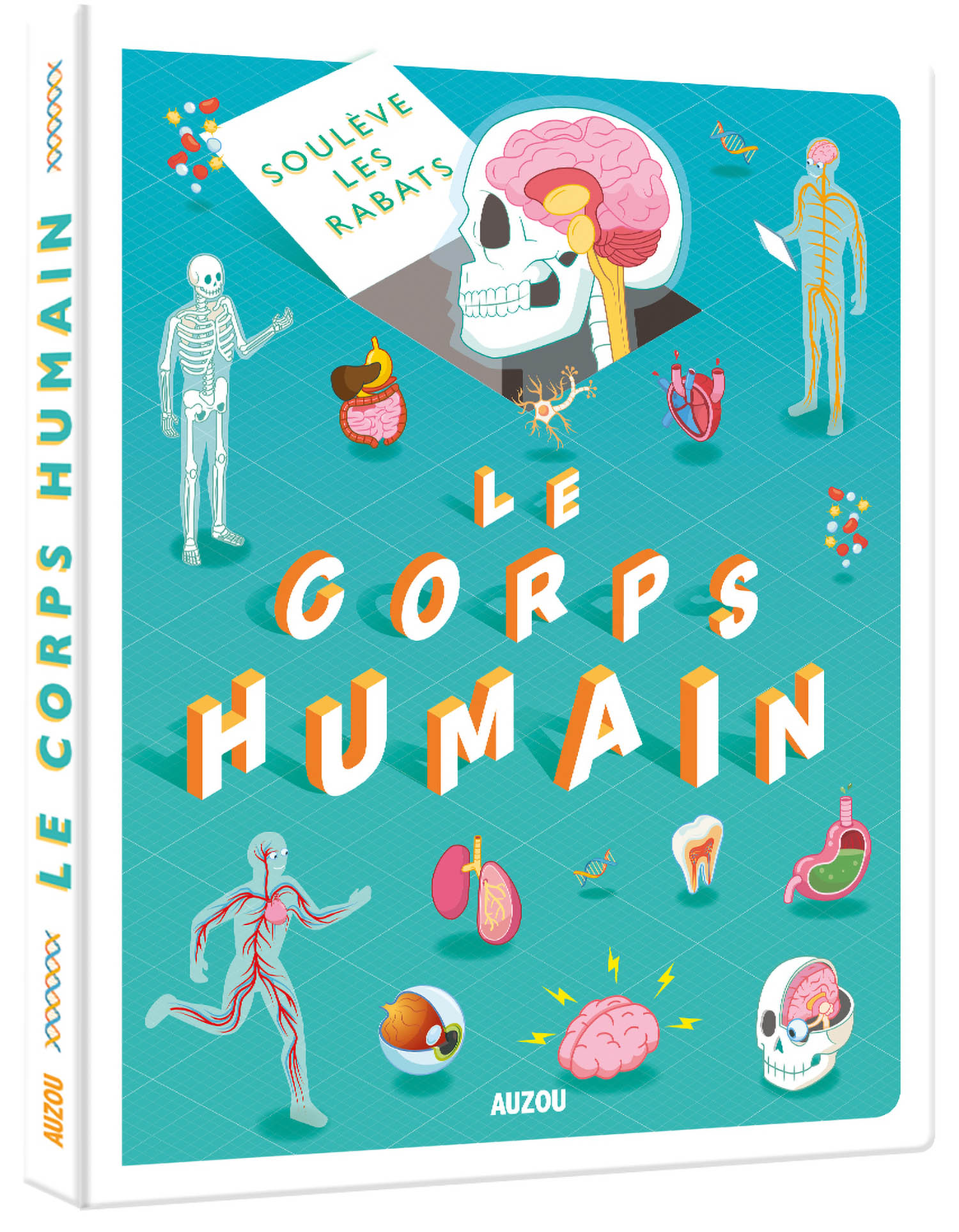 Le Corps Humain : Soulève Les Rabats