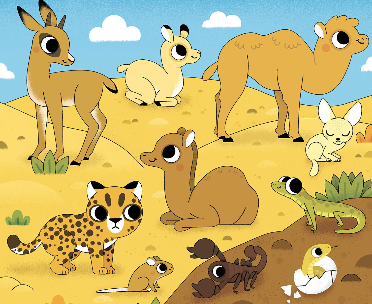 Peinture Magique - Bébés Animaux (Édition 2021)