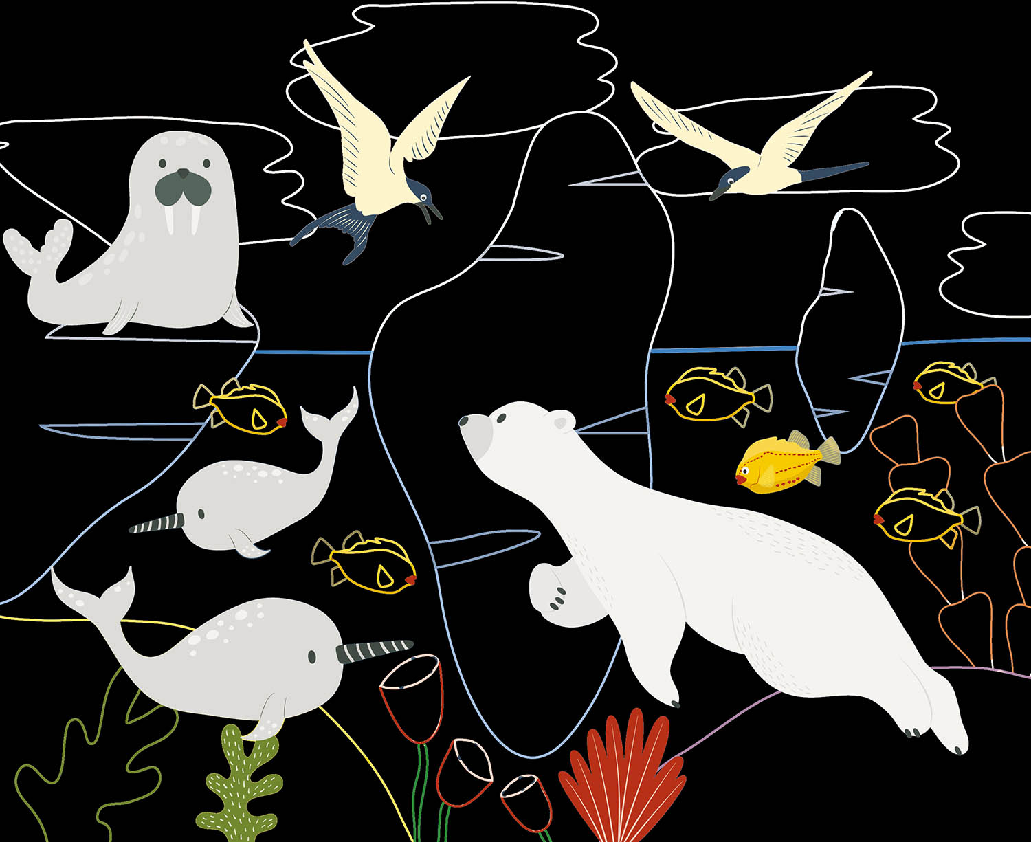 Mes Cartes À Gratter : Océan