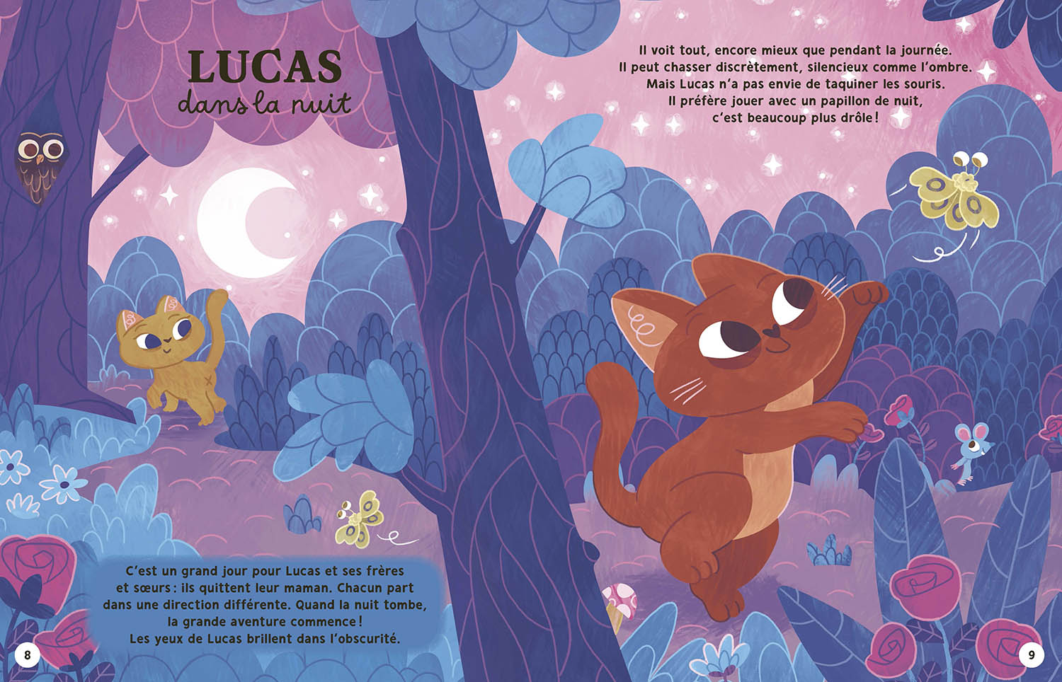 Mes 22 Histoires Du Soir Pour Les Petits