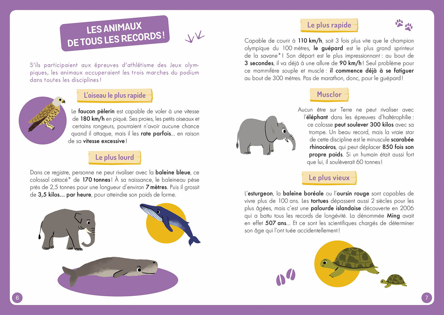 A LA DECOUVERTE DES ANIMAUX DU MONDE (2022)