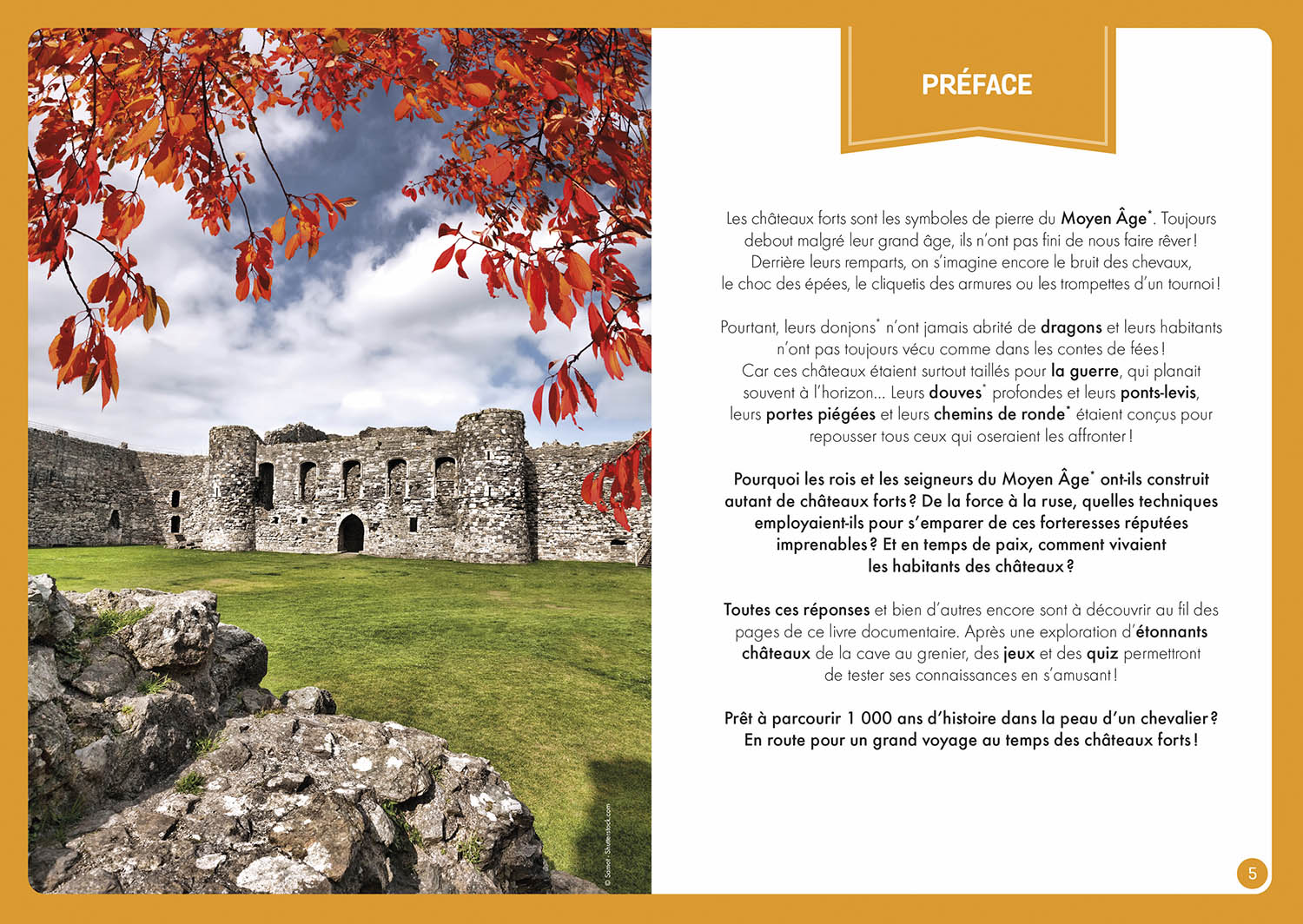 A LA DECOUVERTE DES CHATEAUX-FORT (2022)