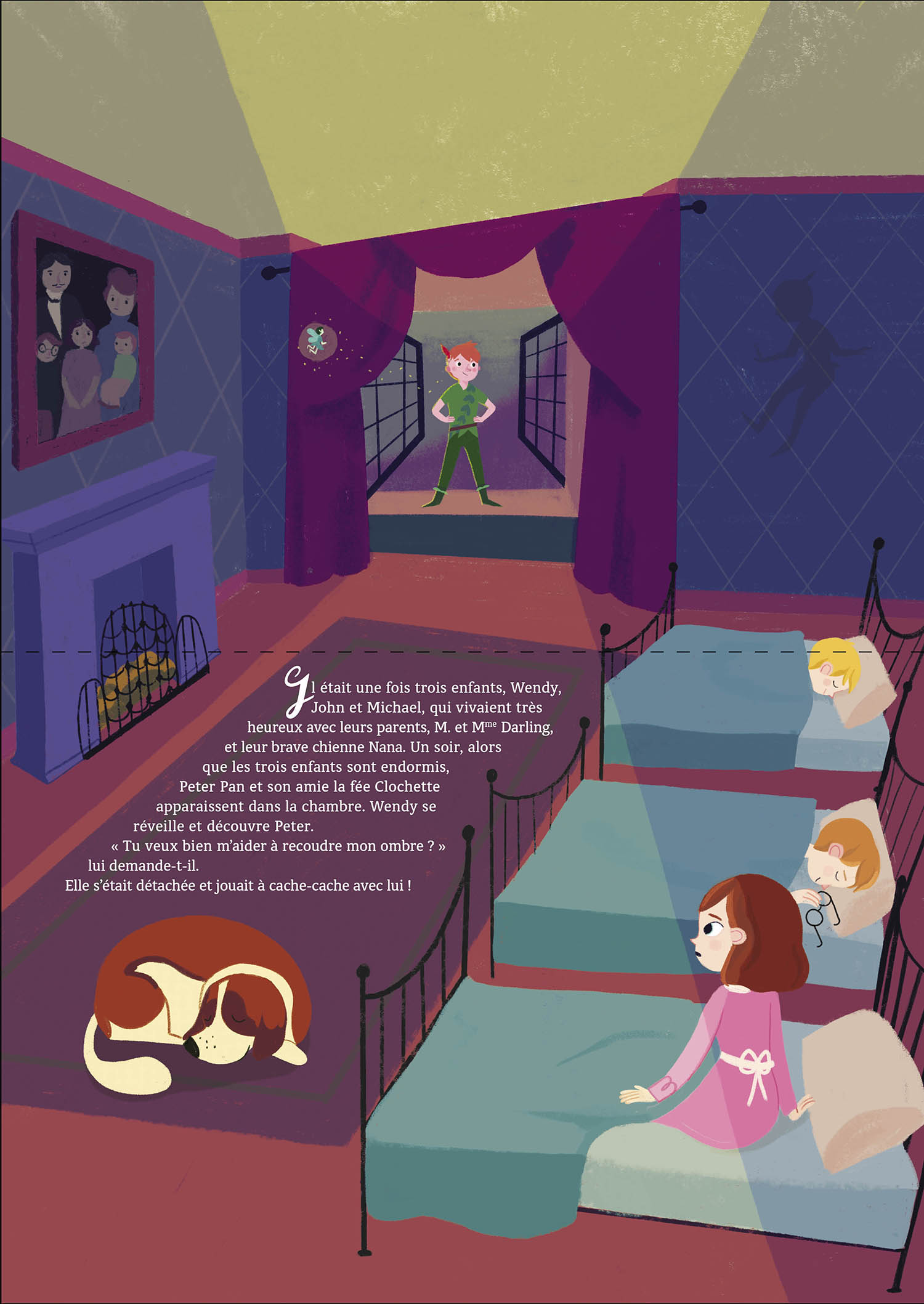 La Fabuleuse Histoire De Peter Pan (Ne) (Livre Projecteur)