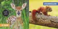 LES BEBES ANIMAUX - MON PREMIER DOC PHOTO 