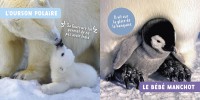 LES BEBES ANIMAUX - MON PREMIER DOC PHOTO 