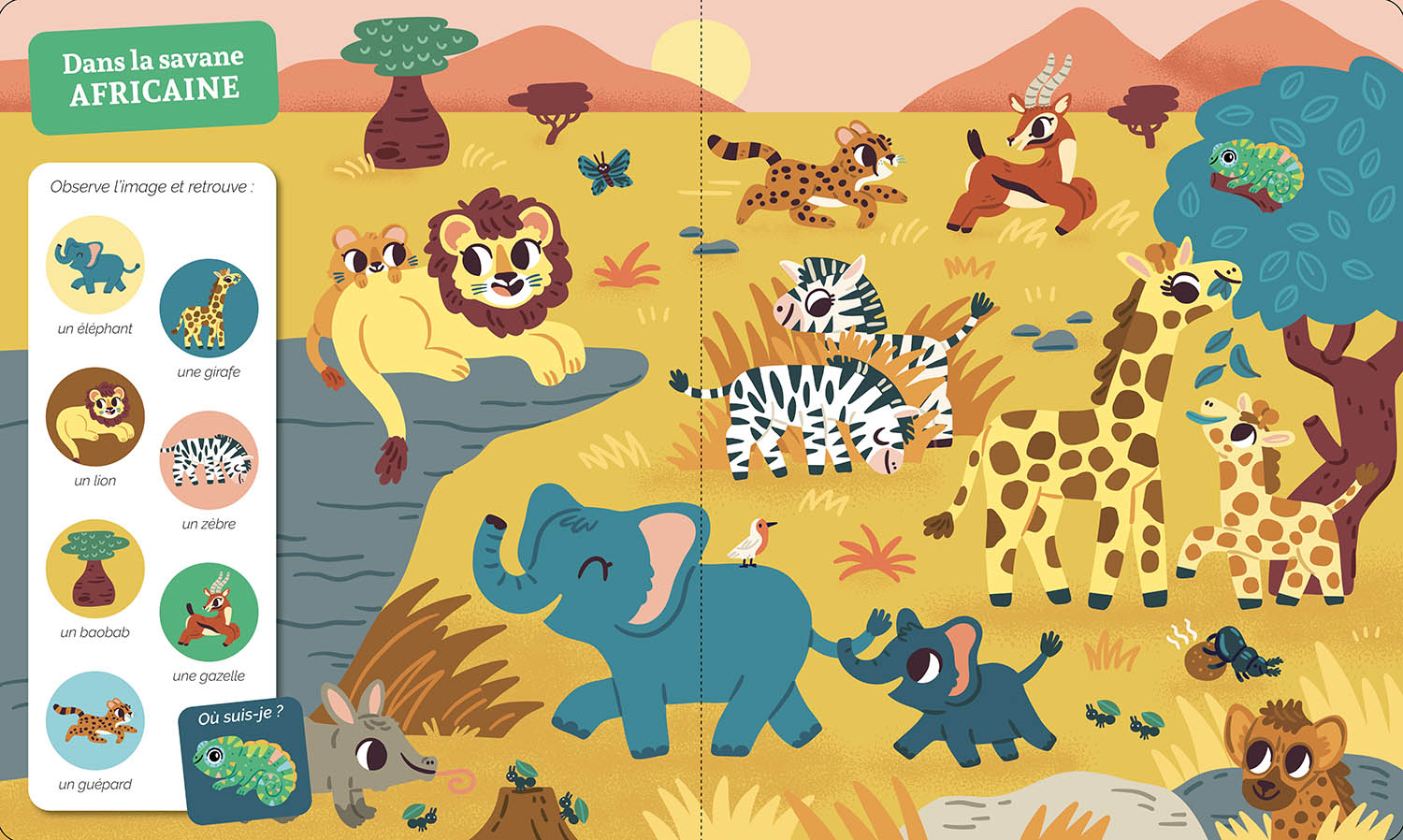 The Jungle And Savanna