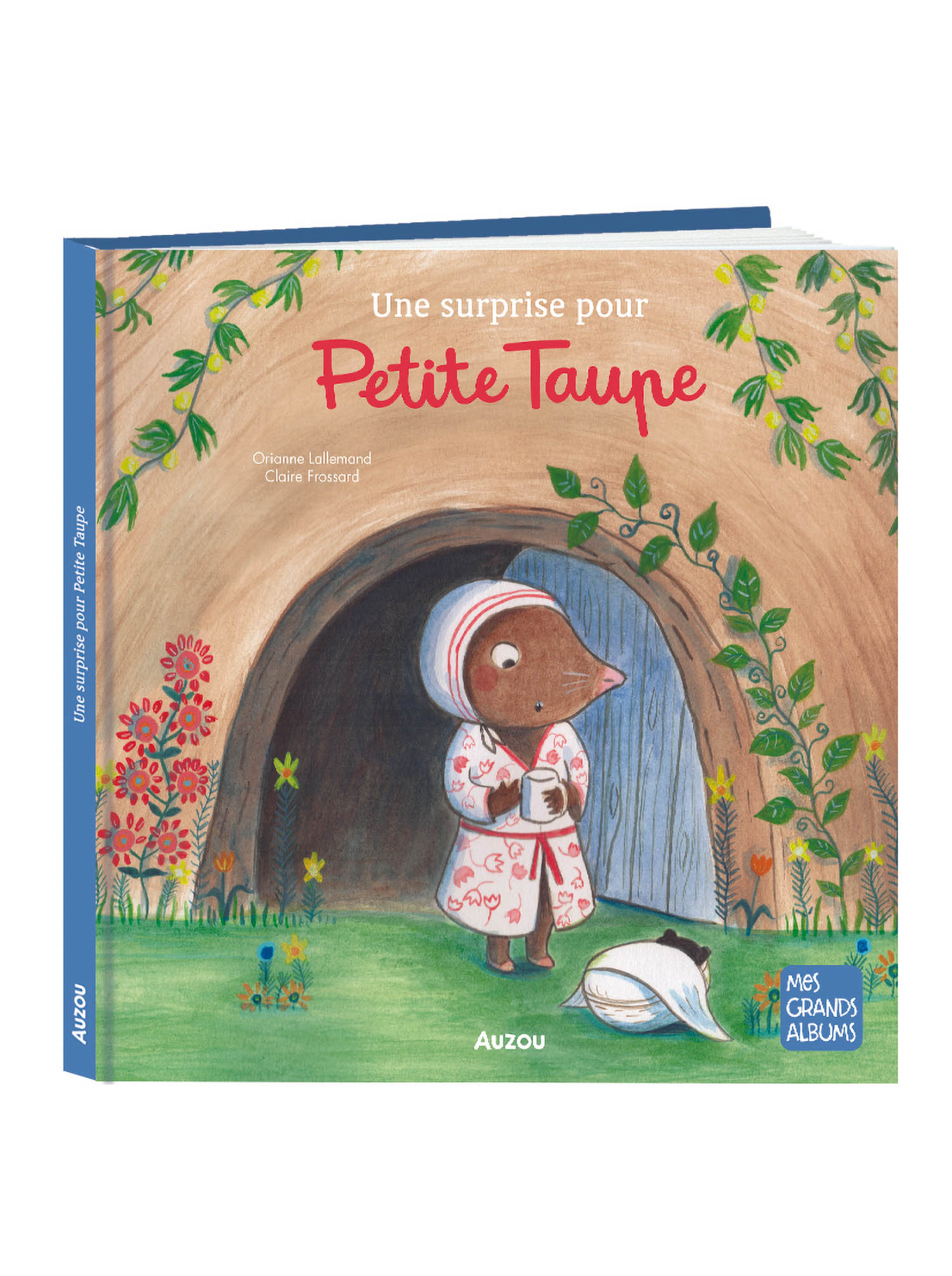 UNE SURPRISE POUR PETITE TAUPE UNE SURPRISE POUR PETITE TAUPE