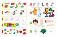 Mon année de PS avec Loup