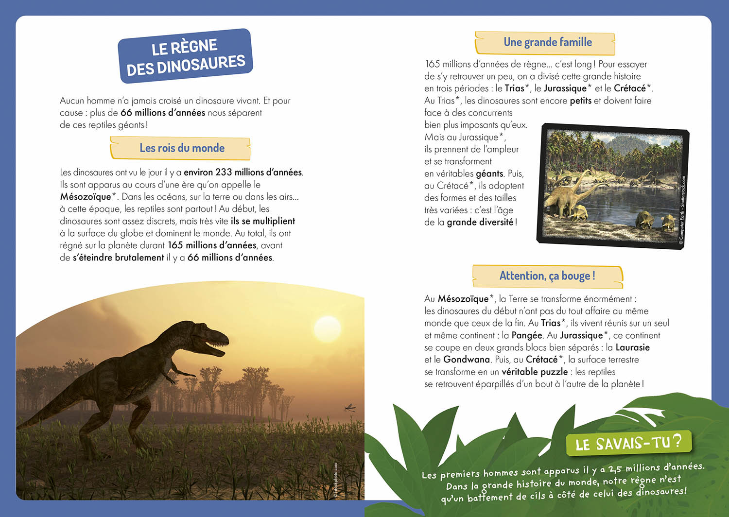 A LA DECOUVERTE DES DINOSAURES 