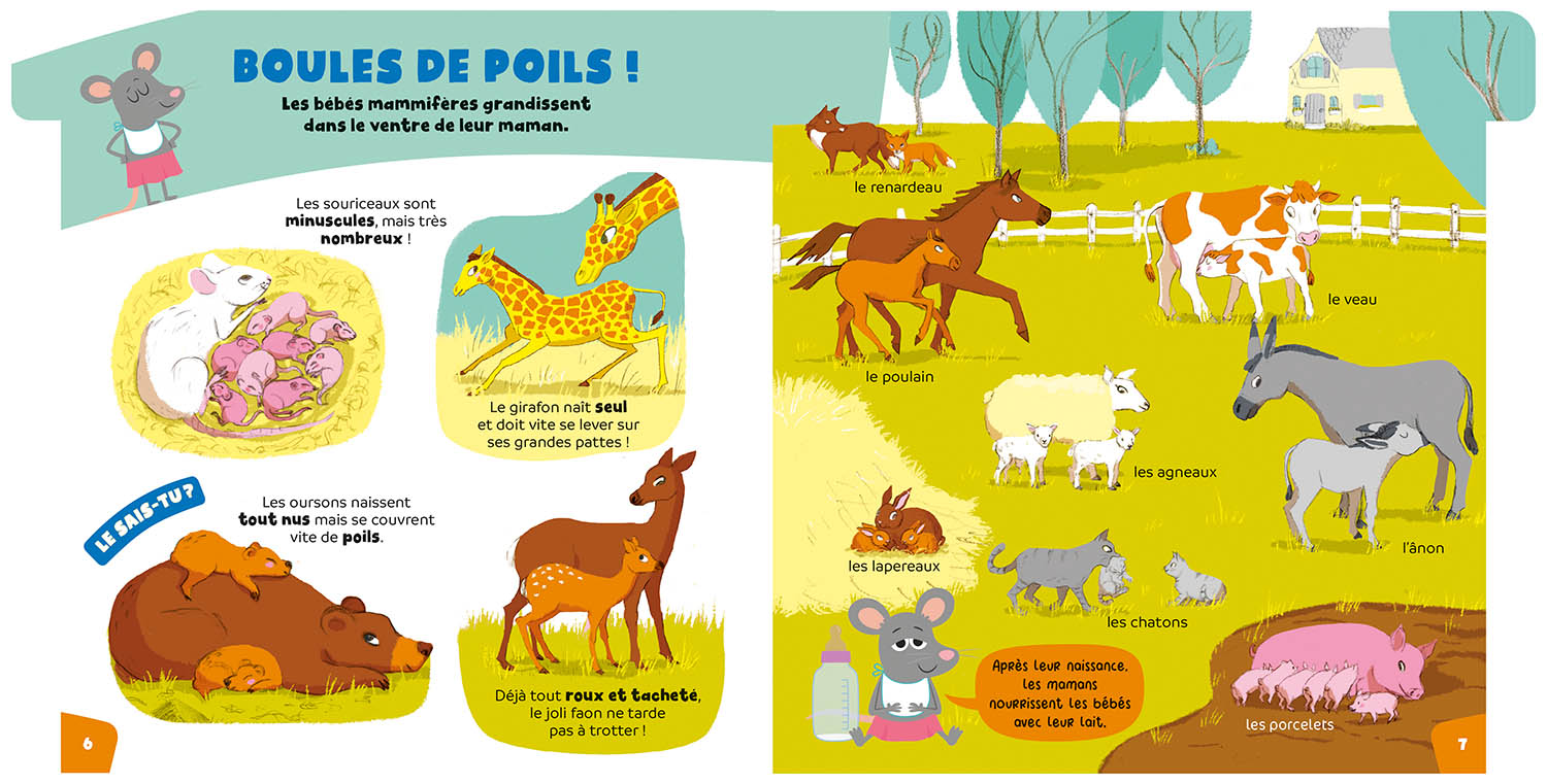 L'encyclo Des Super-Curieux