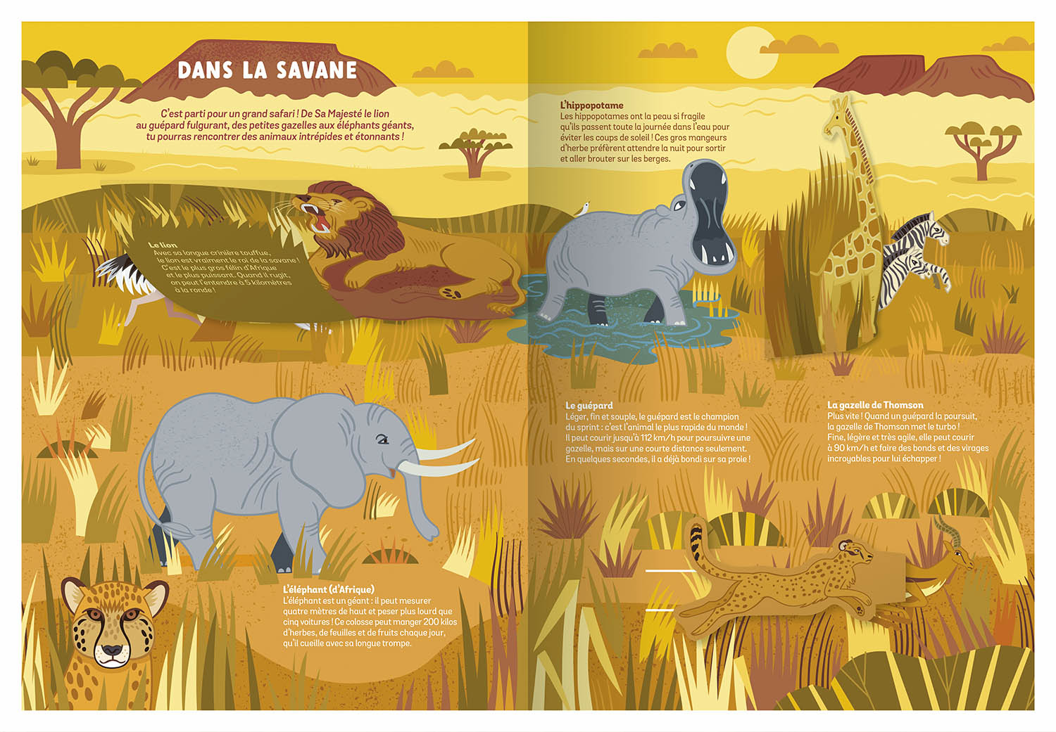 LES ANIMAUX SAUVAGES LES ANIMAUX SAUVAGES