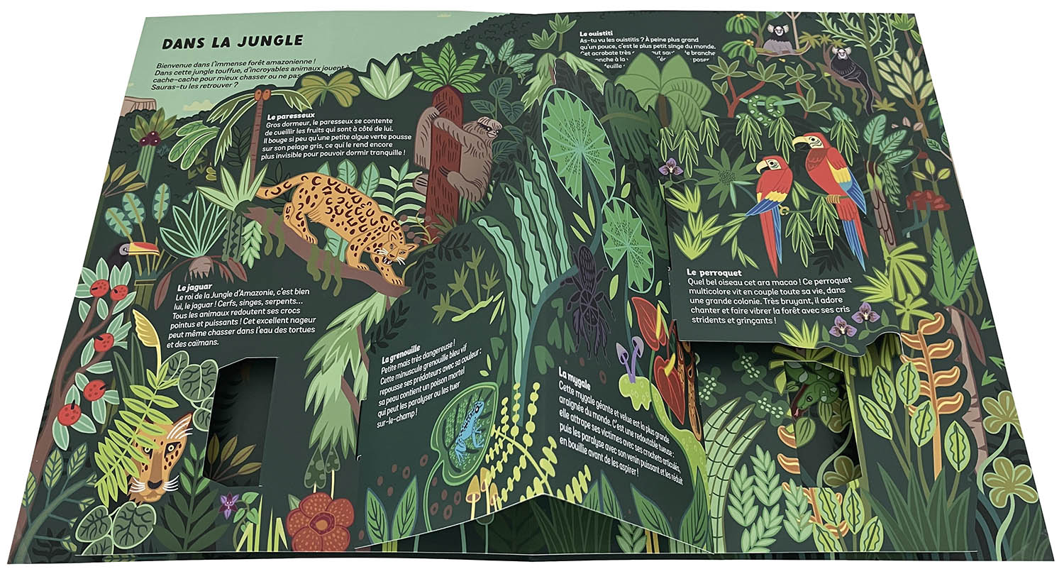 Les Animaux Sauvages - Un Documentaire Animé