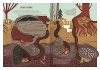 LES ANIMAUX SAUVAGES LES ANIMAUX SAUVAGES