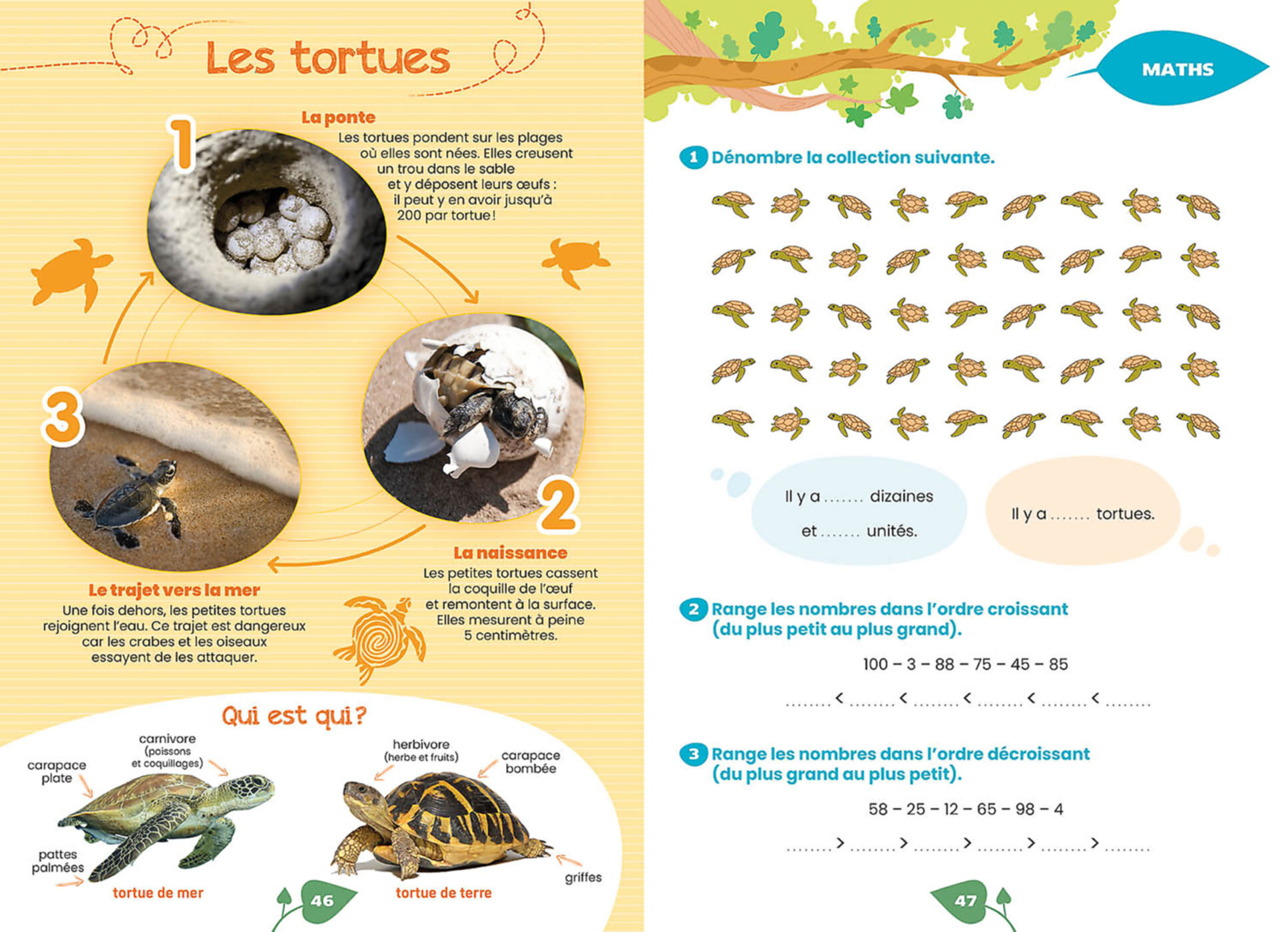 DU CP AU CE1 -  MON CAHIER DE VACANCES ZEN ET NATURE