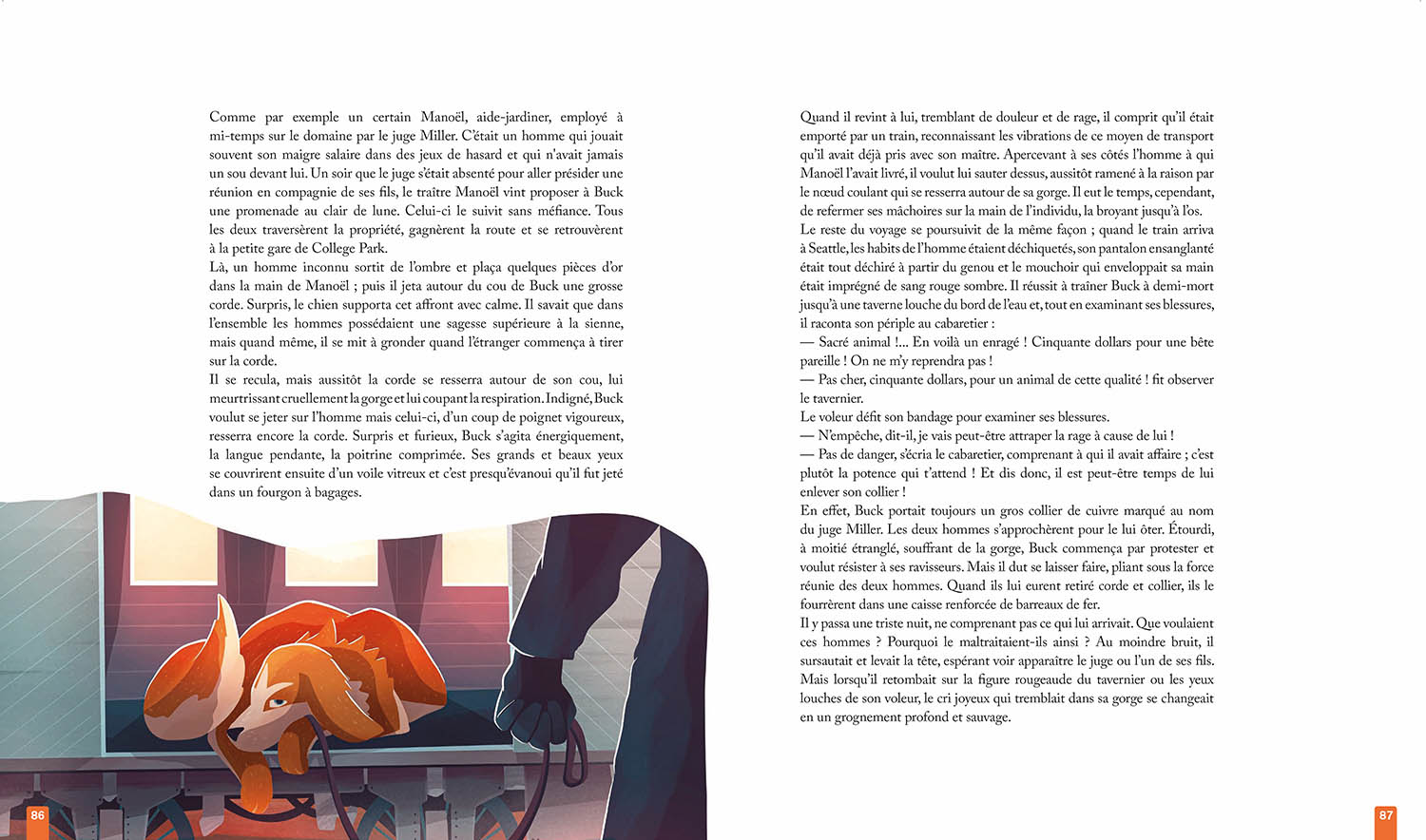 Croc-Blanc Et L'appel De La Forêt