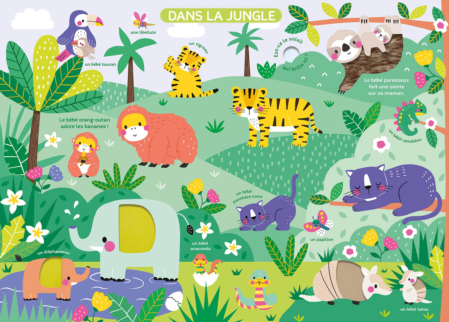 LES BEBES ANIMAUX LES BEBES ANIMAUX