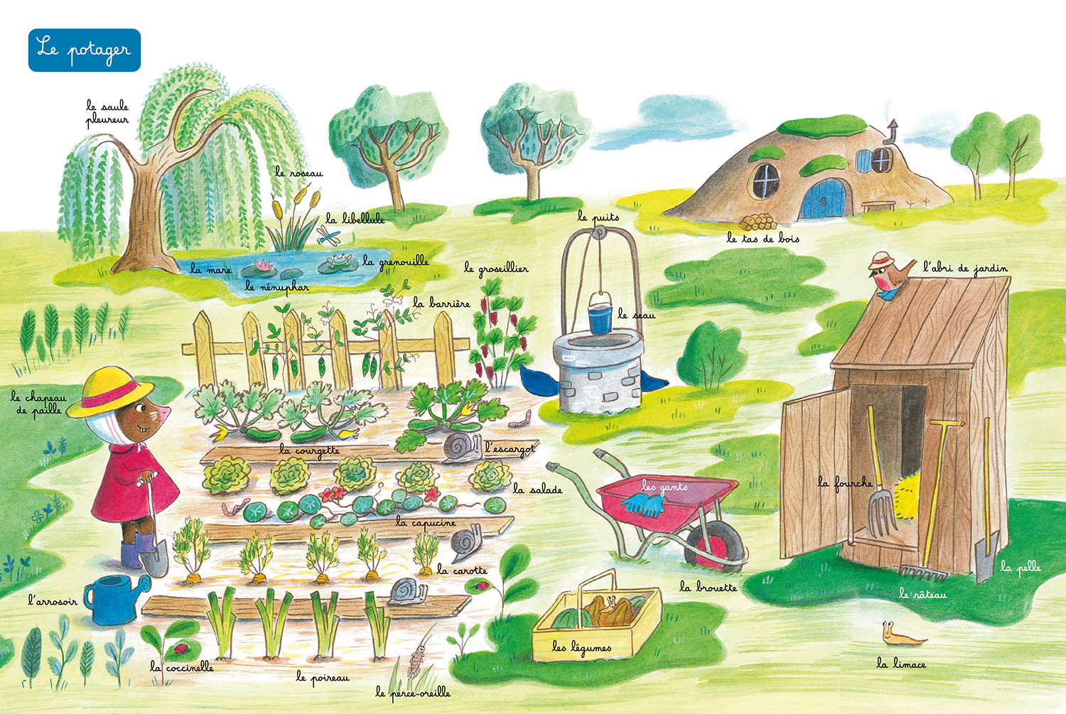Little Mole's Wordbook